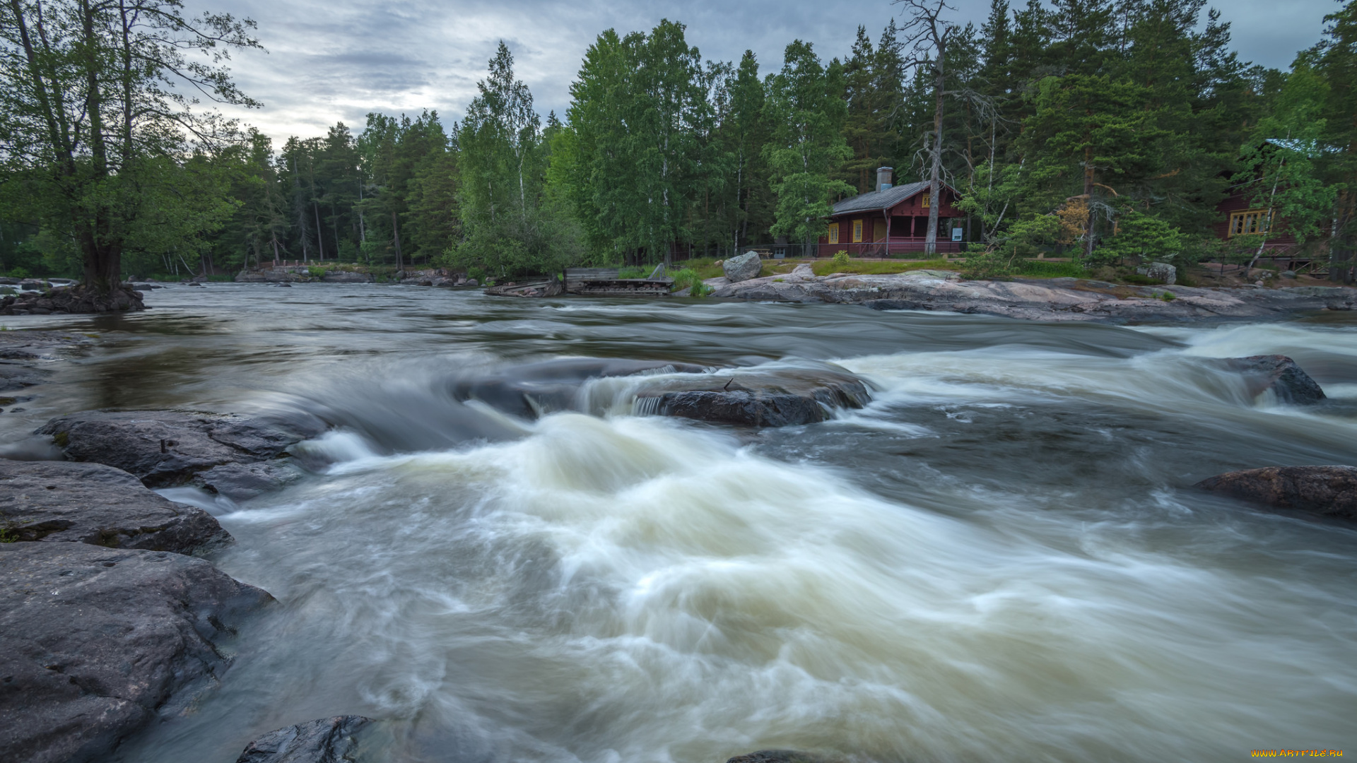 природа, реки, озера, река, лес