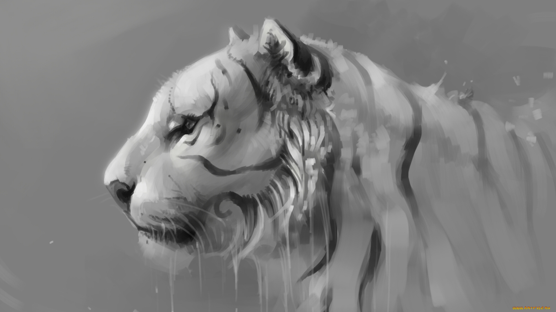 рисованное, животные, , тигры, тигр, серый, фон