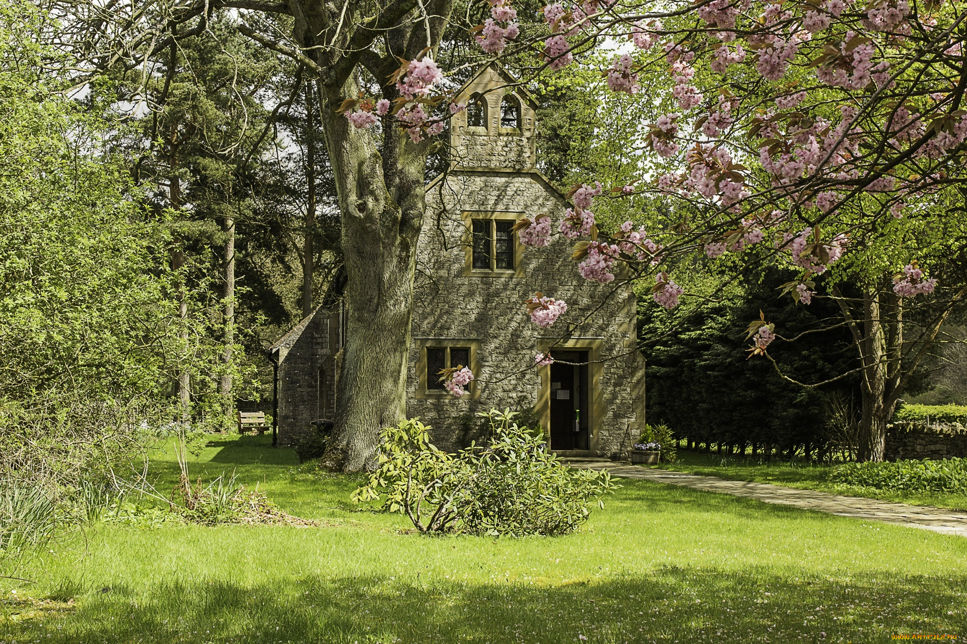 англия, города, -, здания, , дома, трава, цветущее, дерево