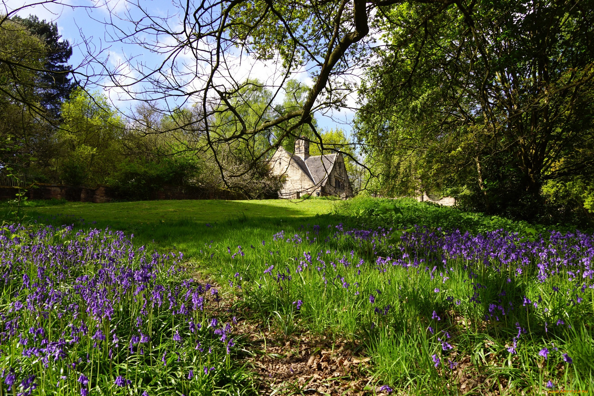 города, -, пейзажи, трава, цветы, деревья