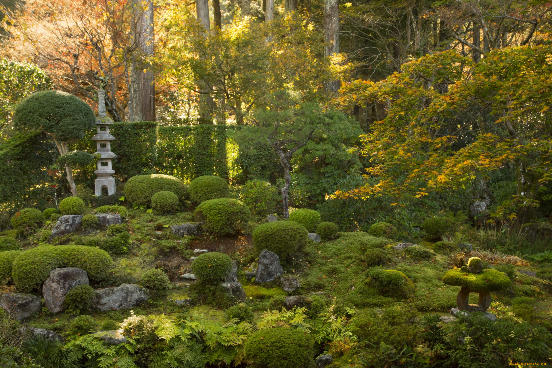 Япония, разное, садовые, и, парковые, скульптуры, растения, парк, деревья