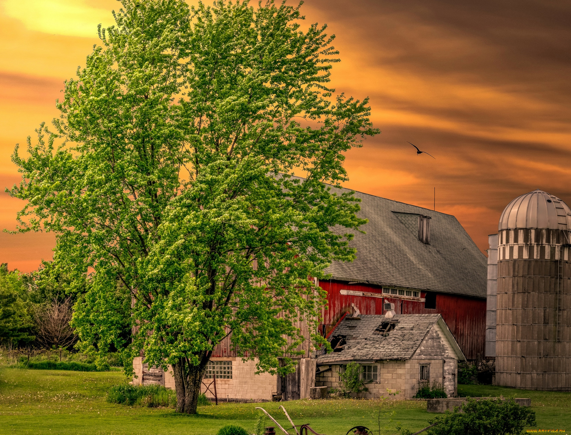 города, -, здания, , дома, постройка, трава, птица, деревья