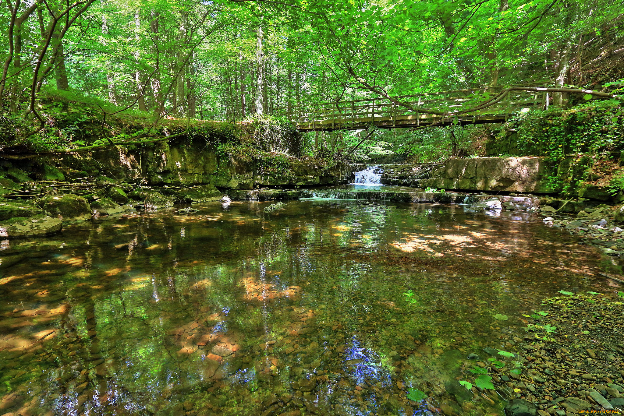 природа, реки, озера, река, лес