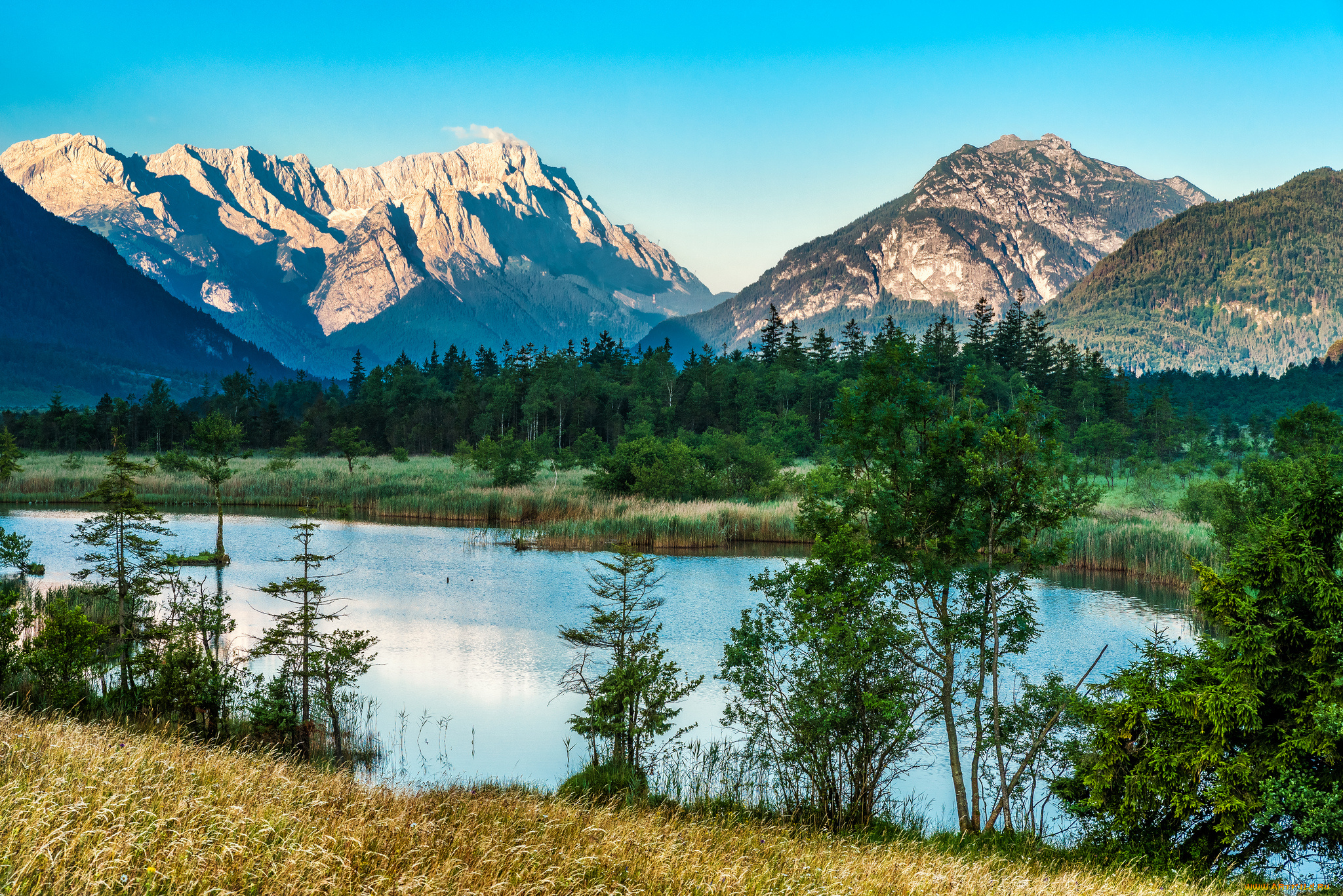 природа, реки, озера, река, лес