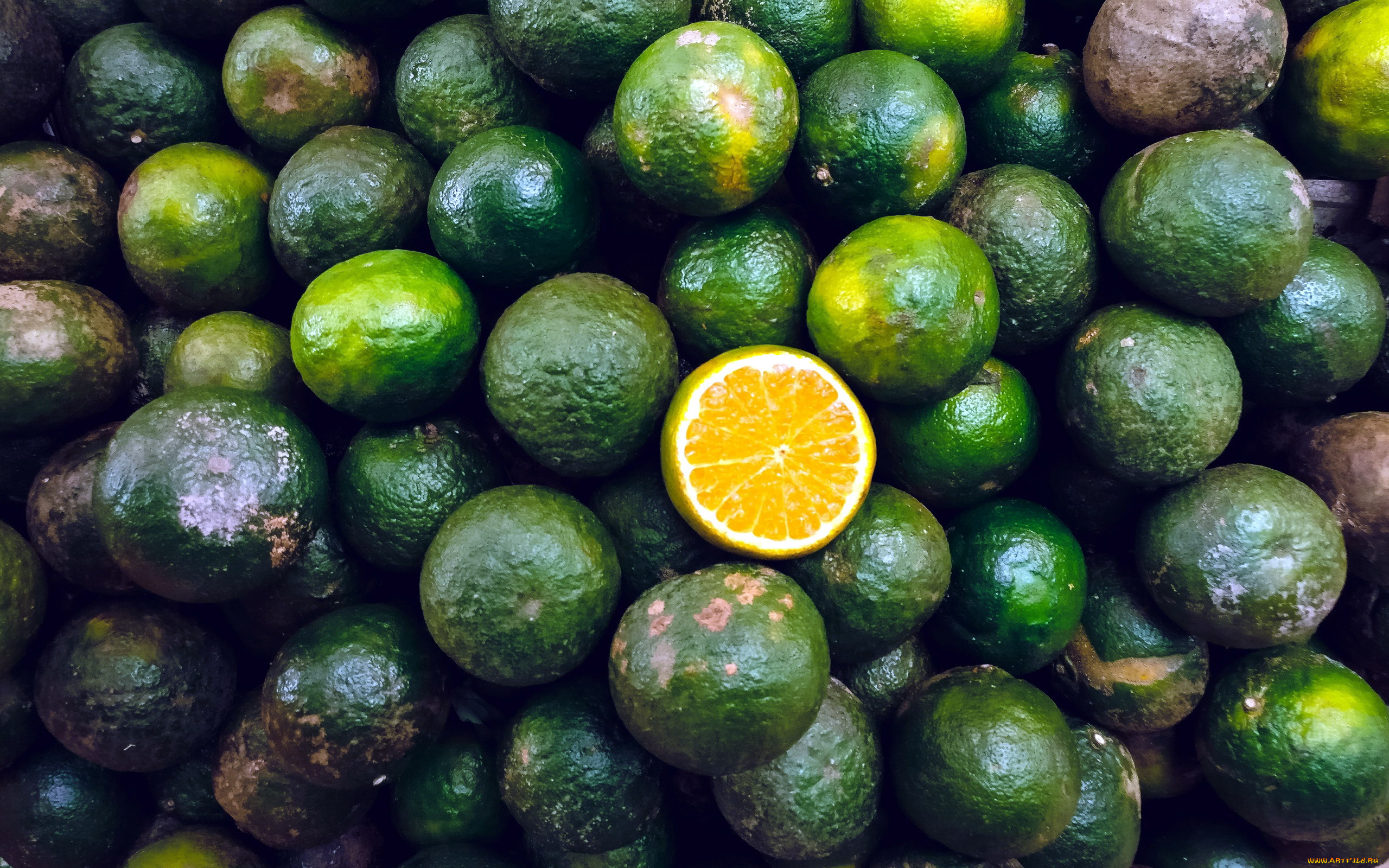 еда, цитрусы, много, лаймы