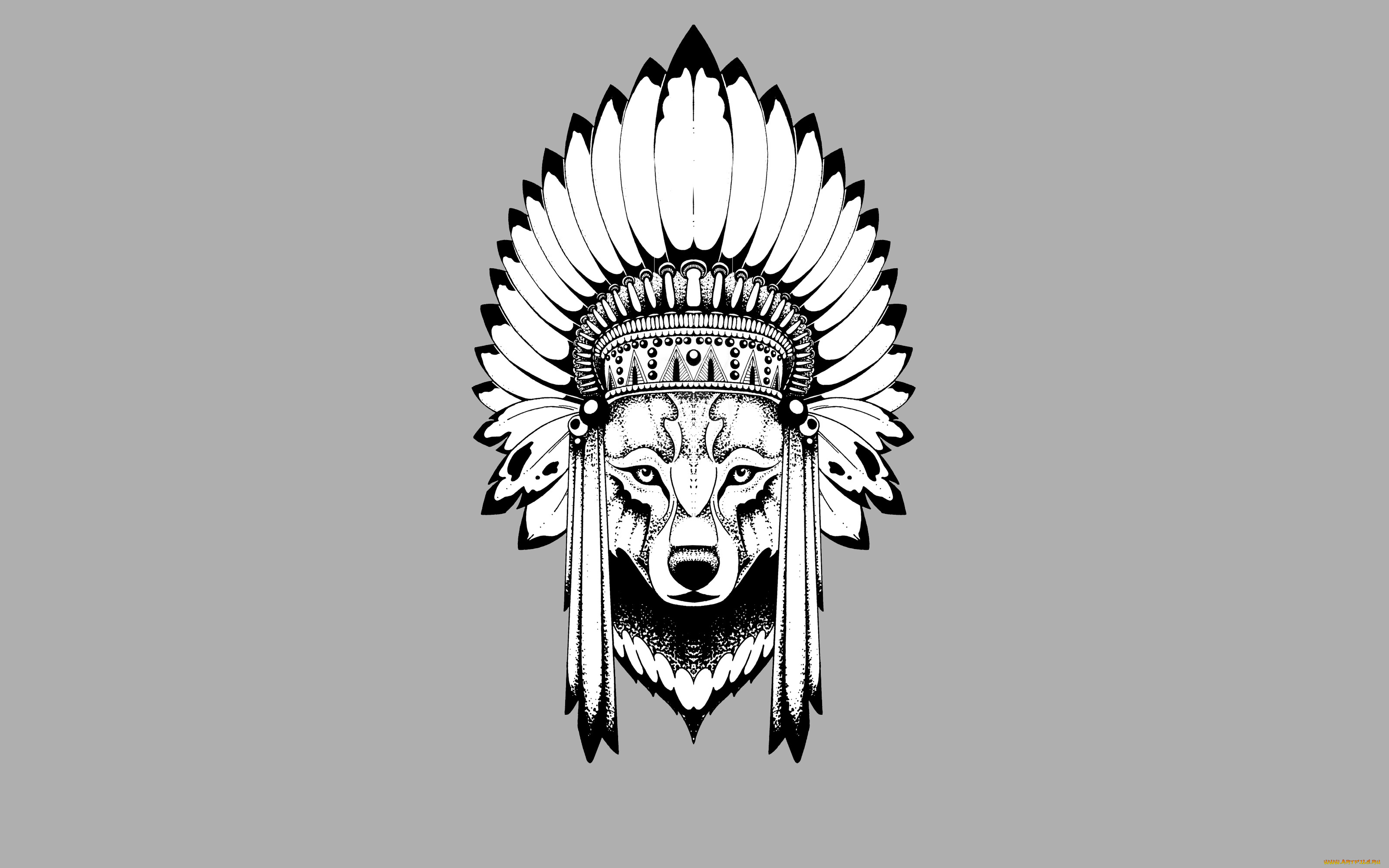 рисованное, минимализм, индеец, wolf, голова, волк, indian, перья
