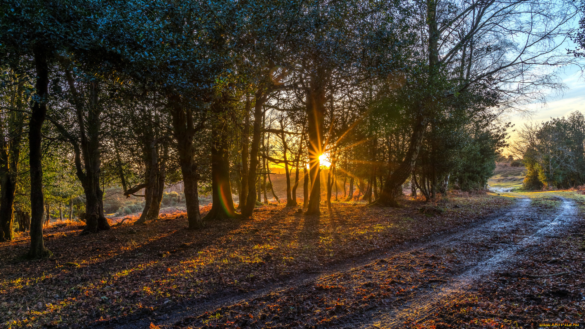 природа, дороги, простор