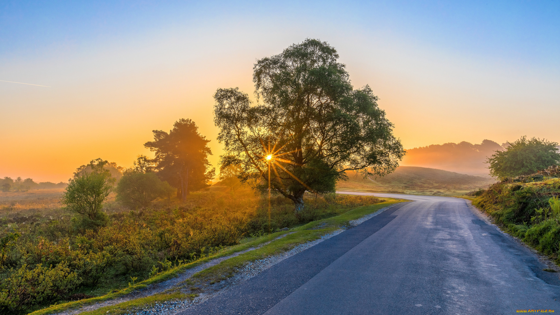 природа, дороги, простор