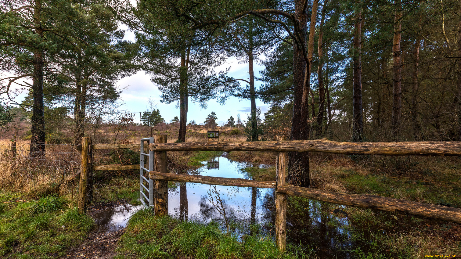 природа, реки, озера, простор