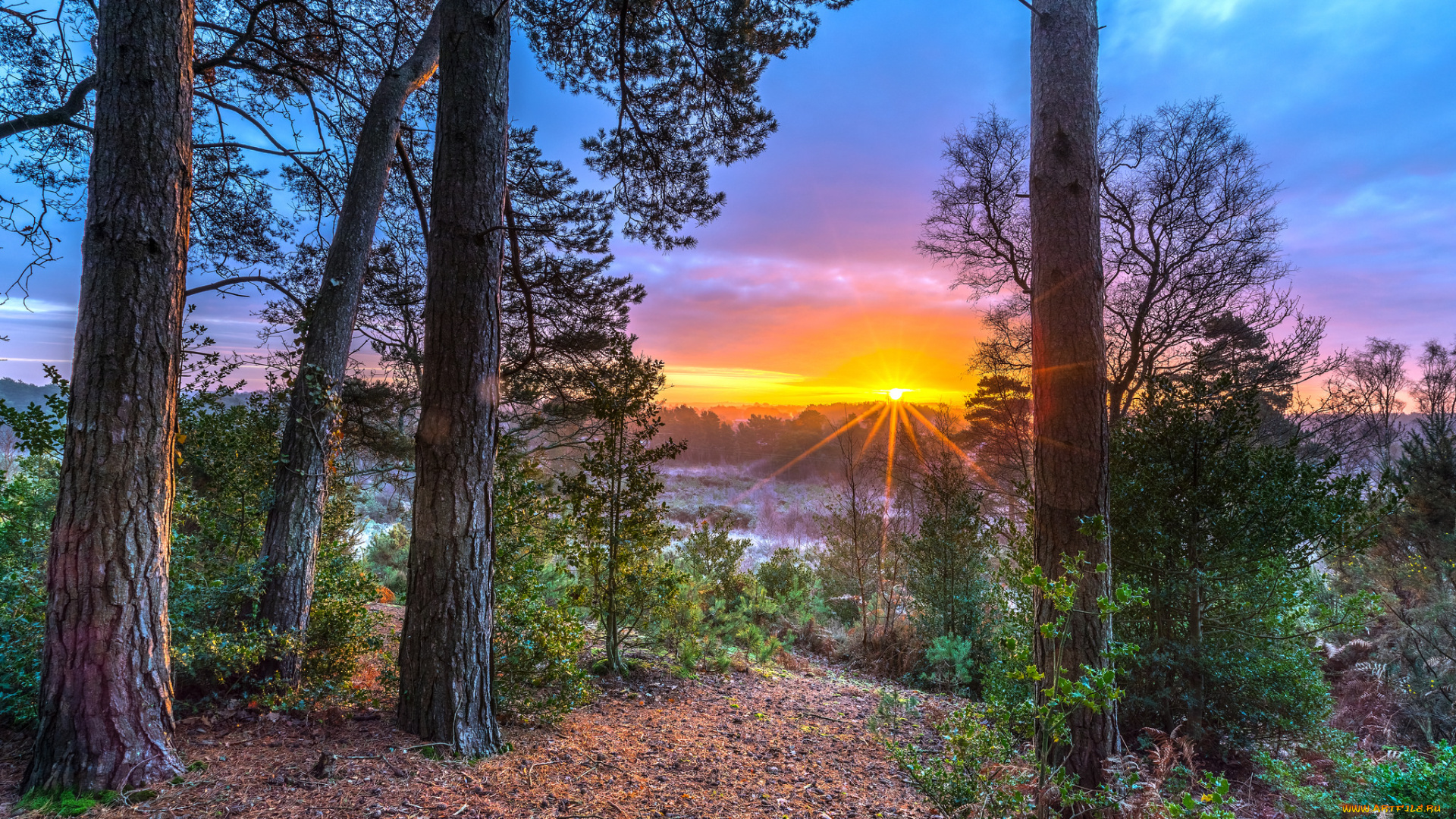 природа, восходы, закаты, простор