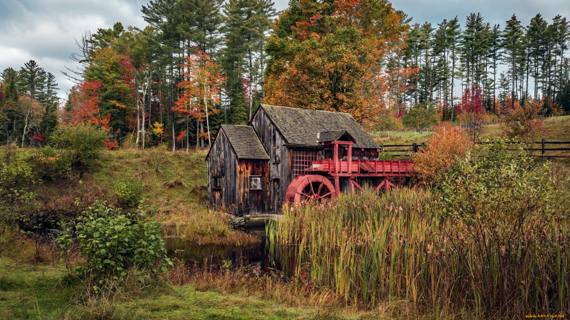 разное, мельницы, мельница, домик, природа, водяная