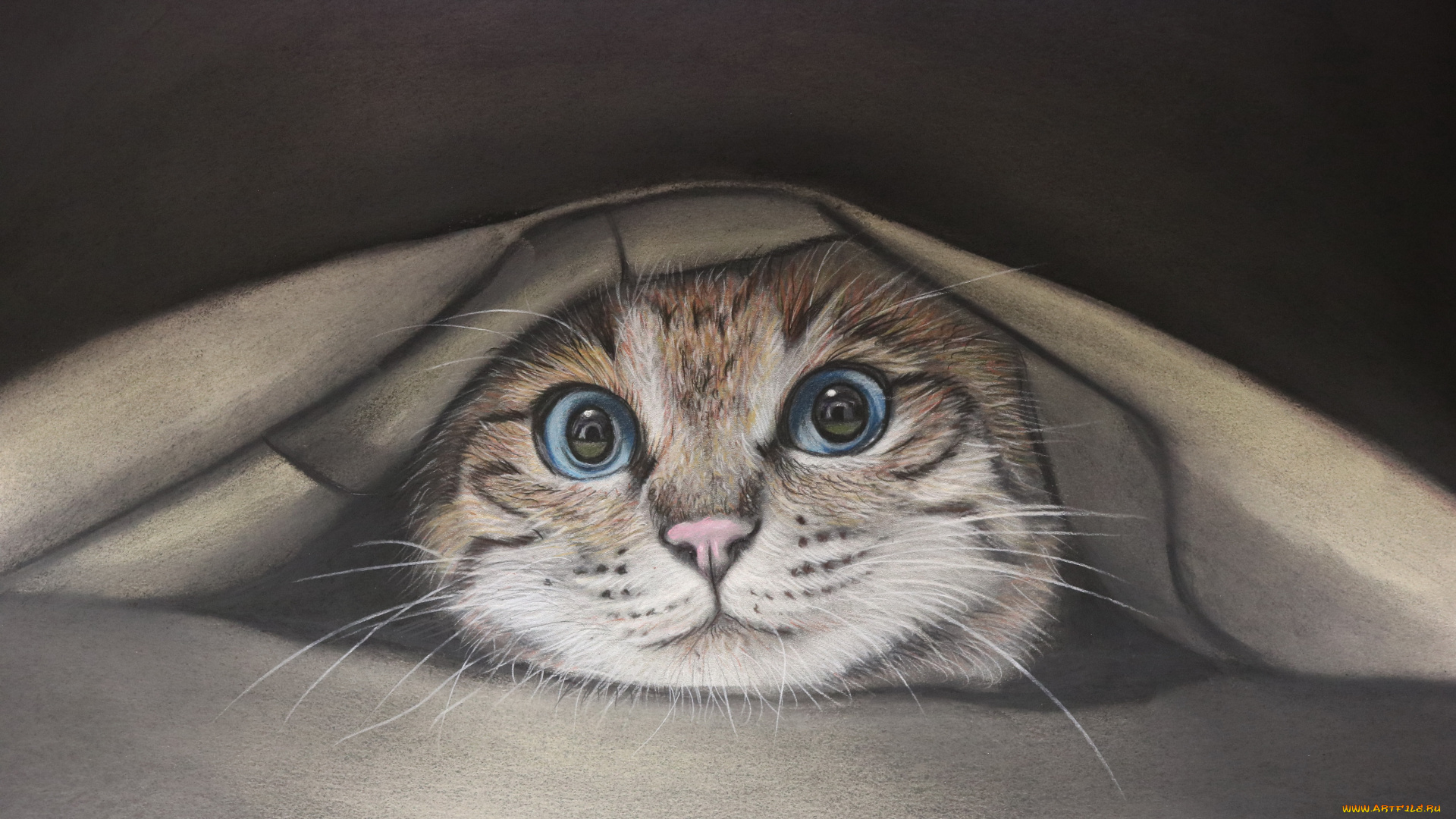 рисованное, животные, взгляд, фон, кот