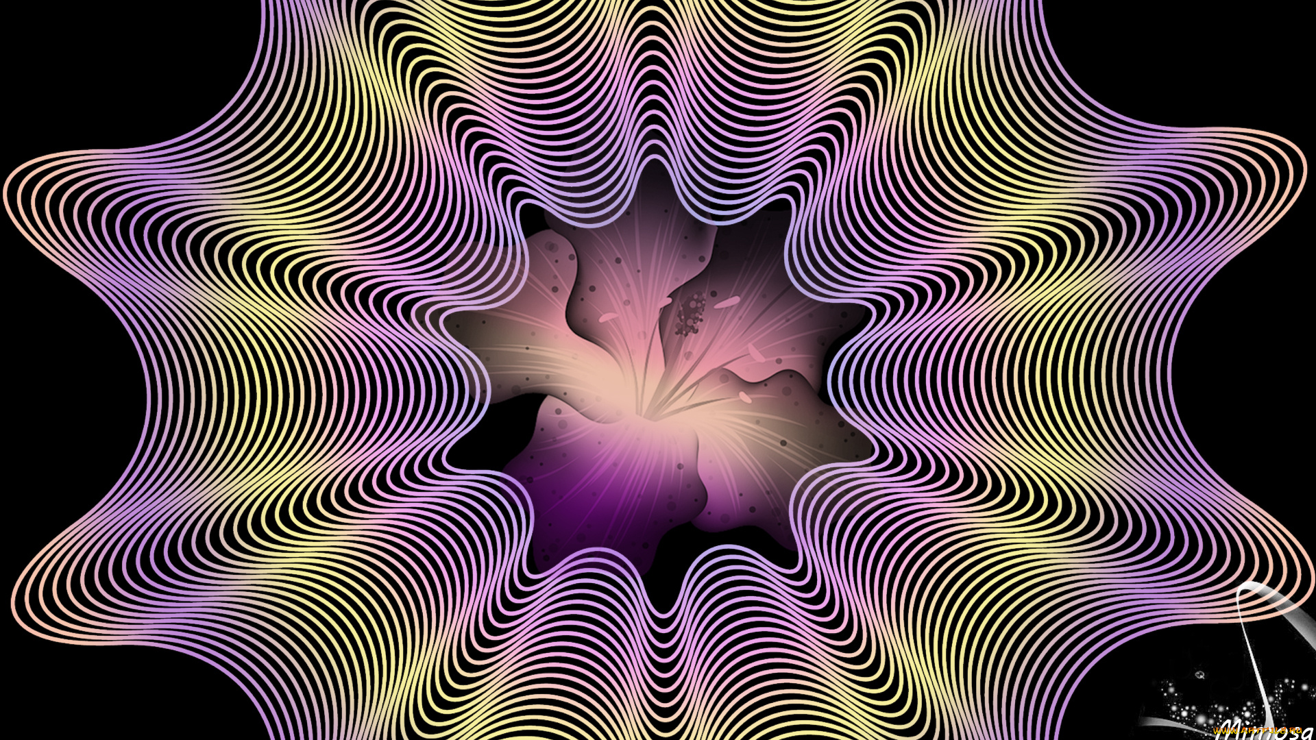 векторная, графика, графика, , graphics, цвета, фон, узор