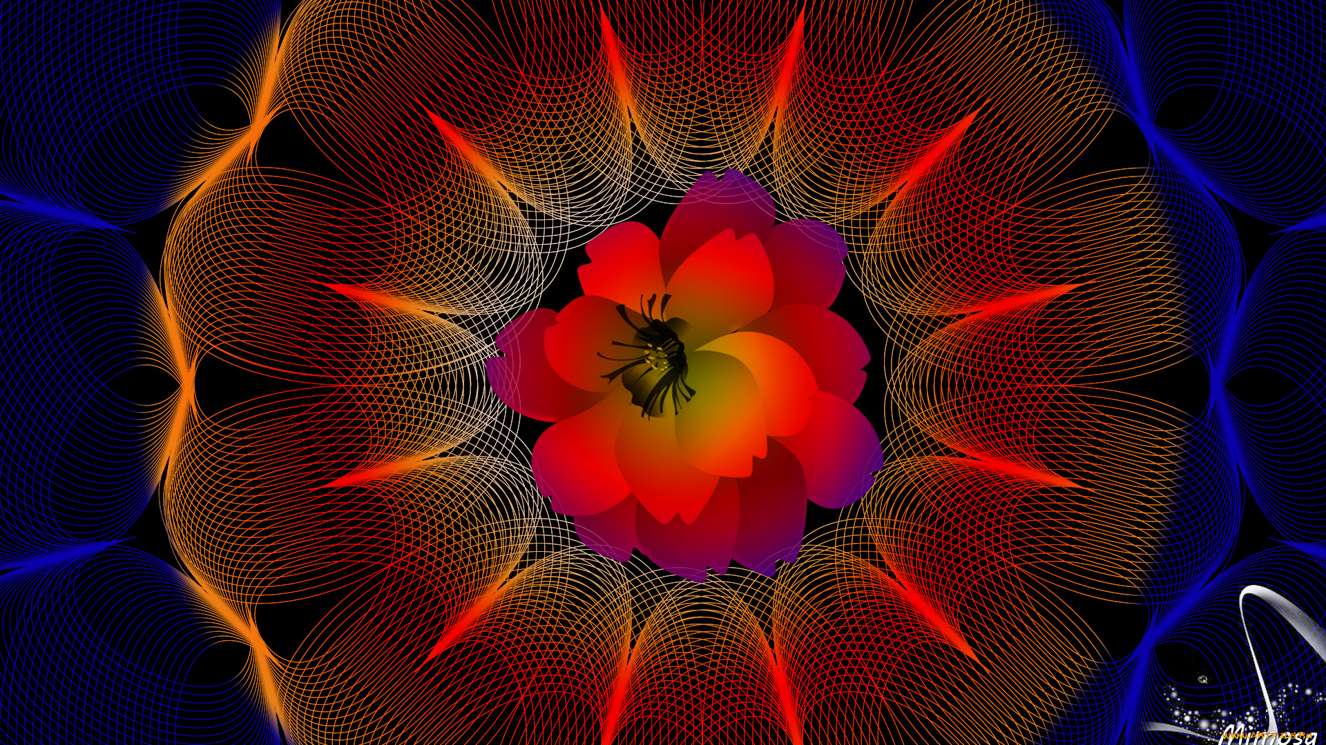 векторная, графика, графика, , graphics, цвета, фон, узор