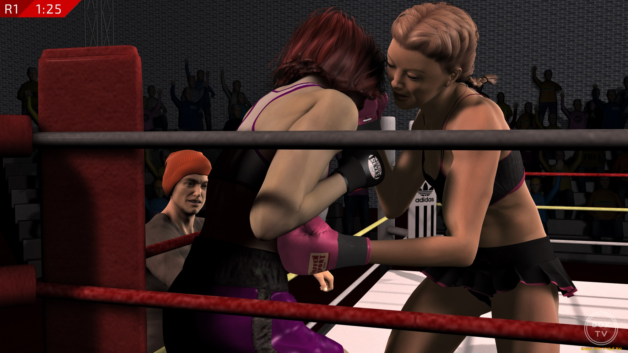 3д, графика, спорт, , sport, девушки, взгляд, фон, ринг, бокс