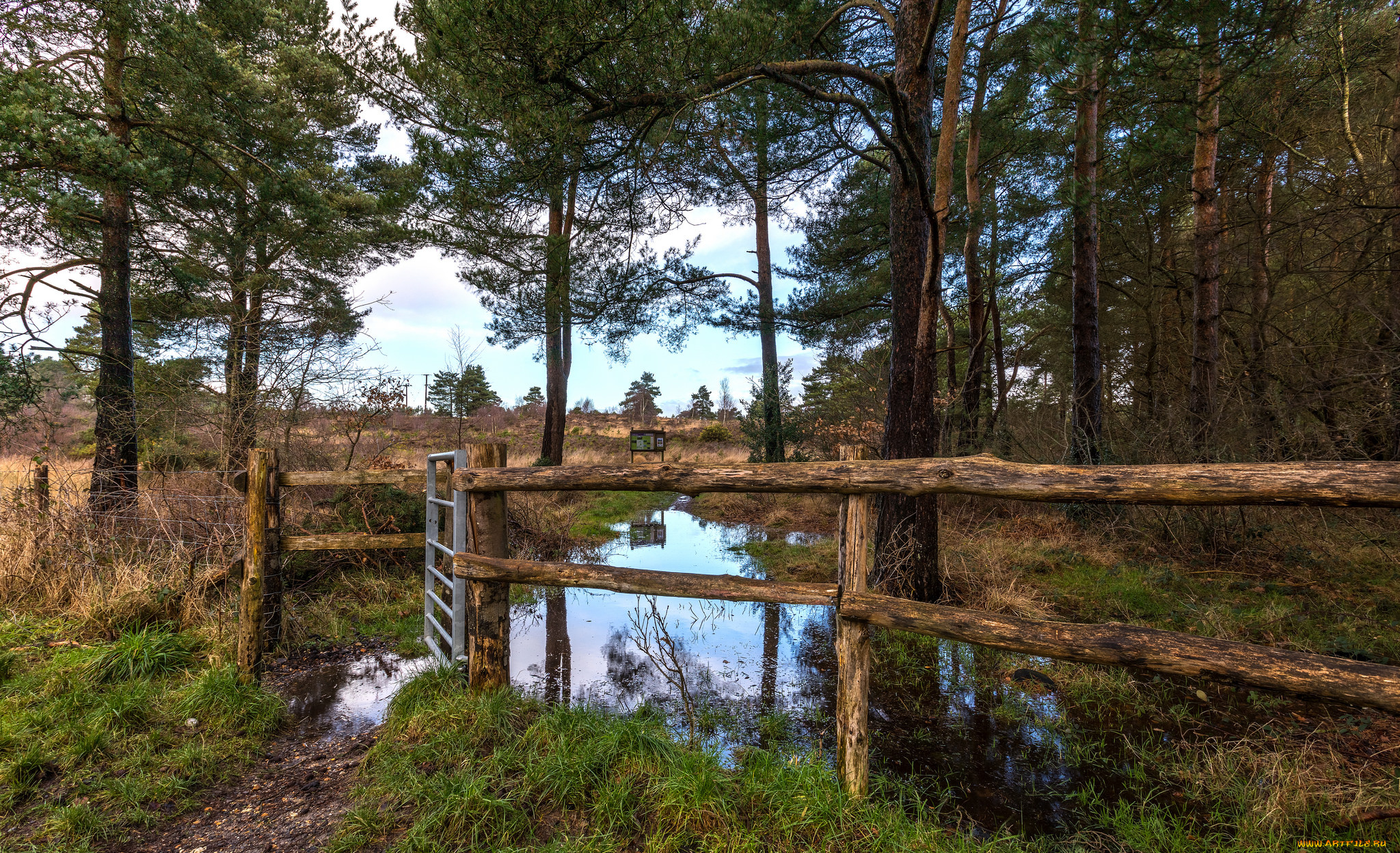 природа, реки, озера, простор