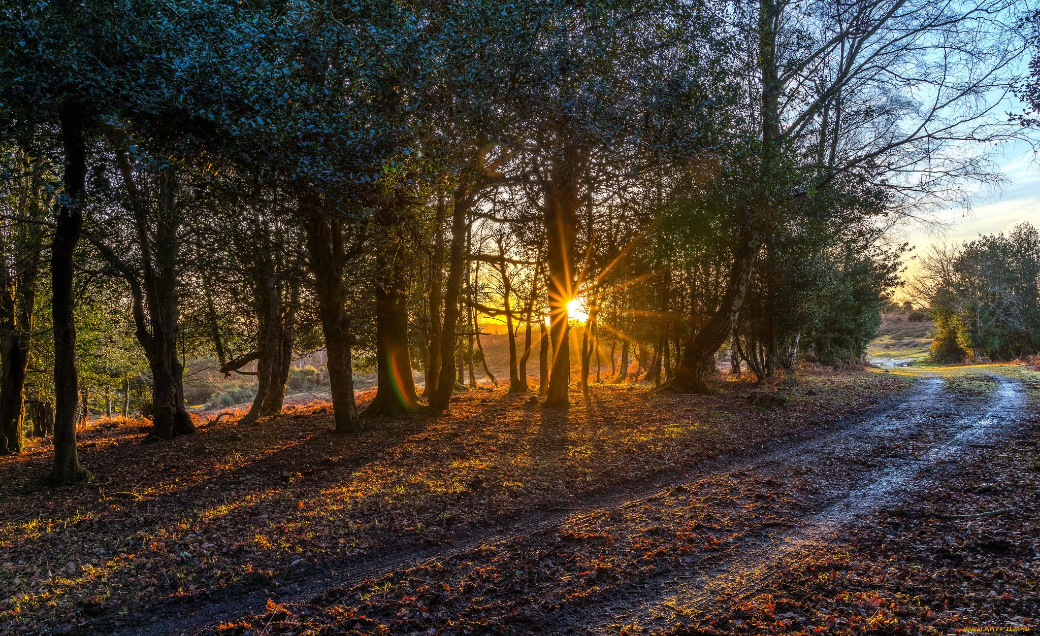 природа, дороги, простор