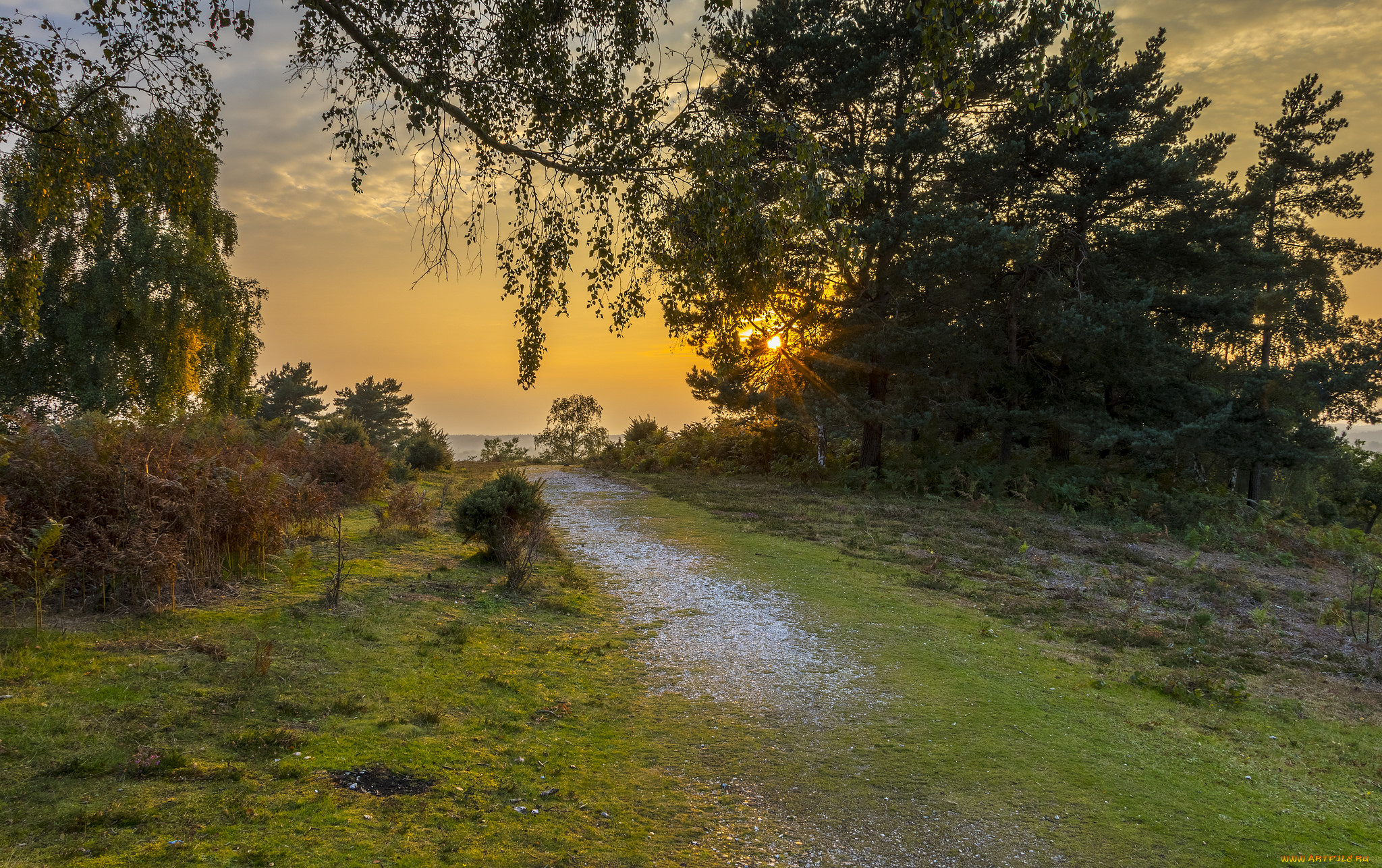 природа, пейзажи, простор