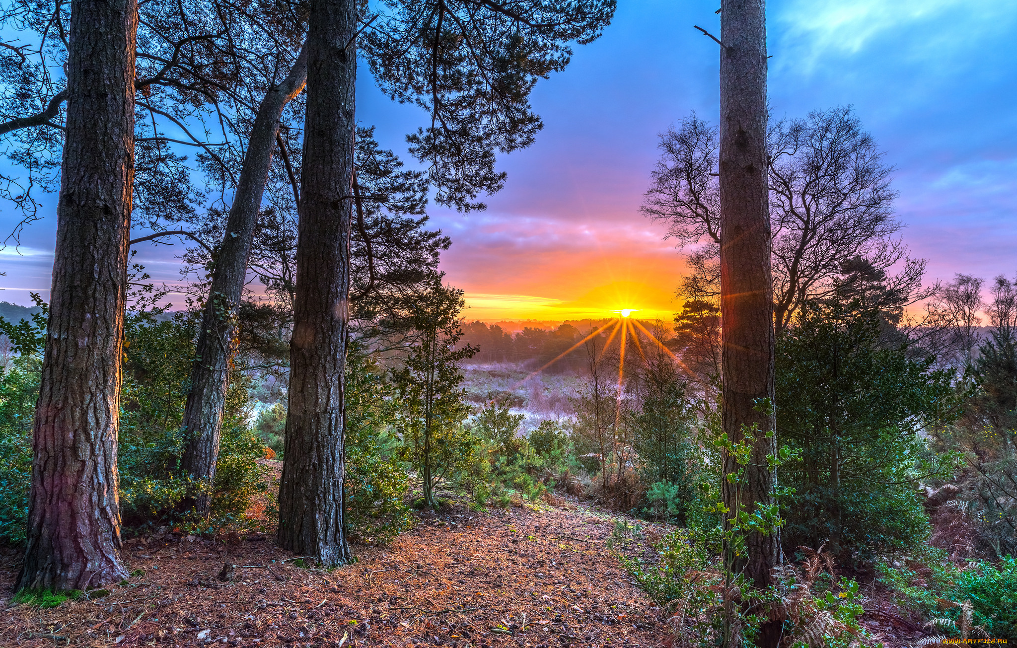 природа, восходы, закаты, простор