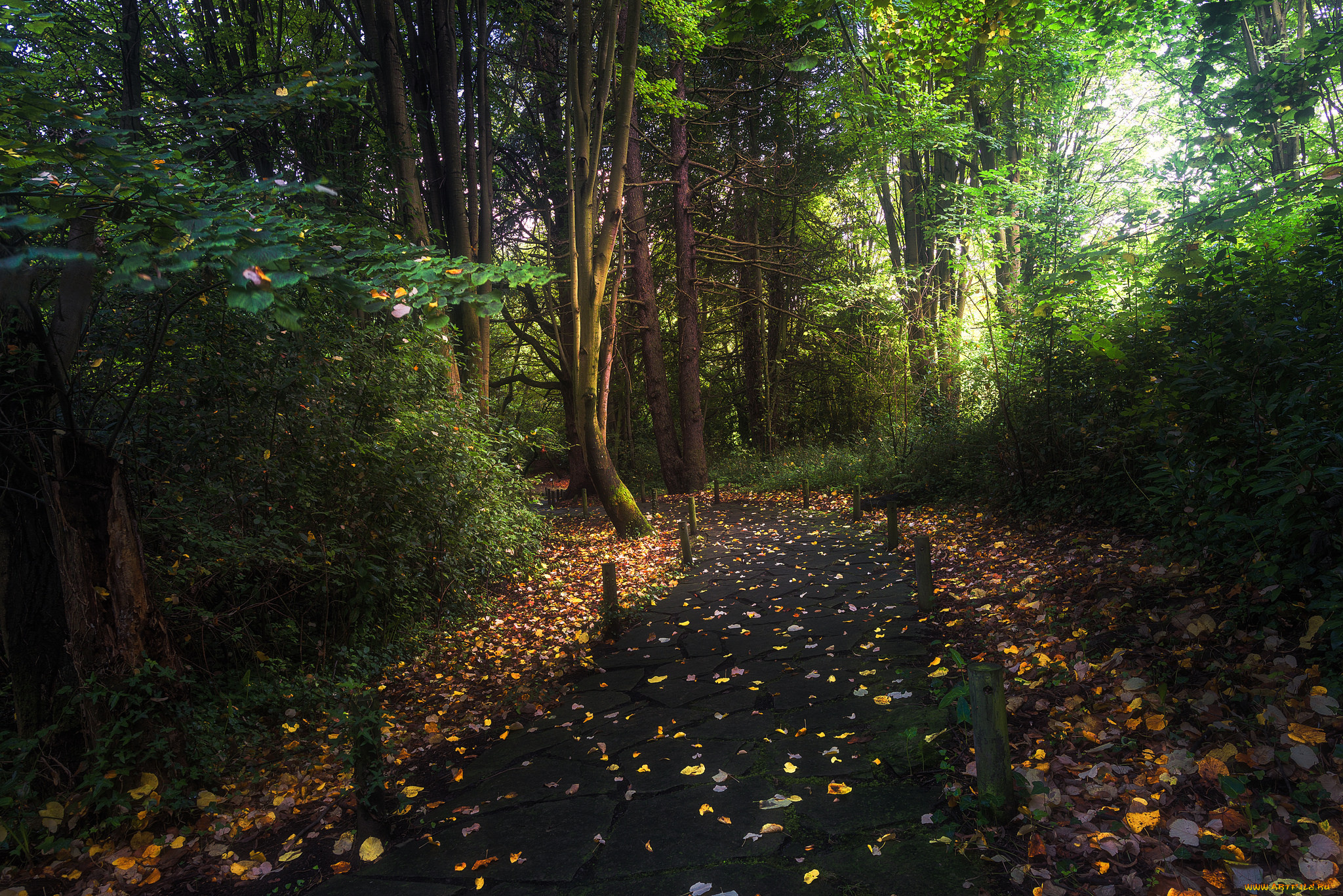 природа, дороги, простор