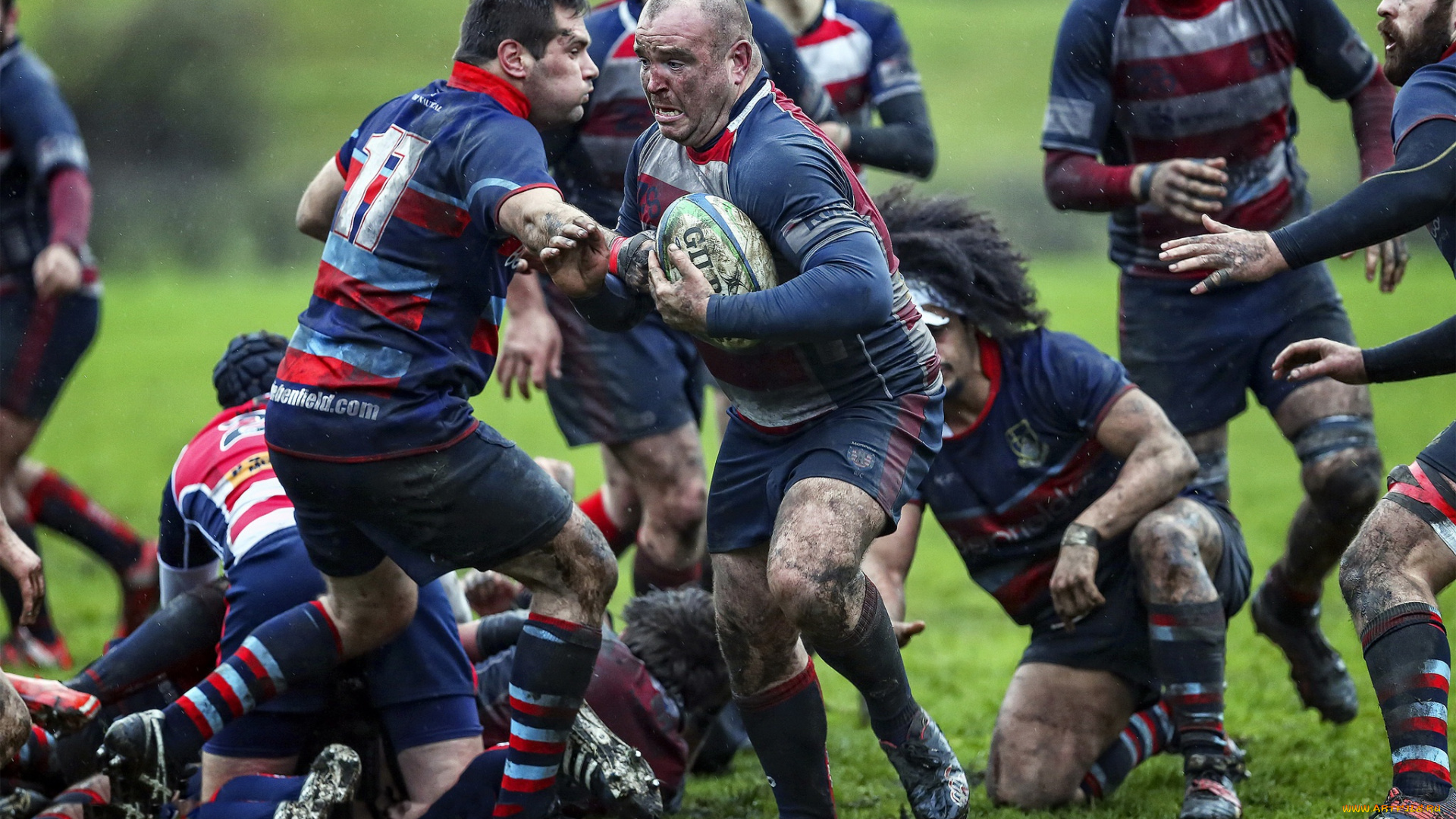 спорт, регби