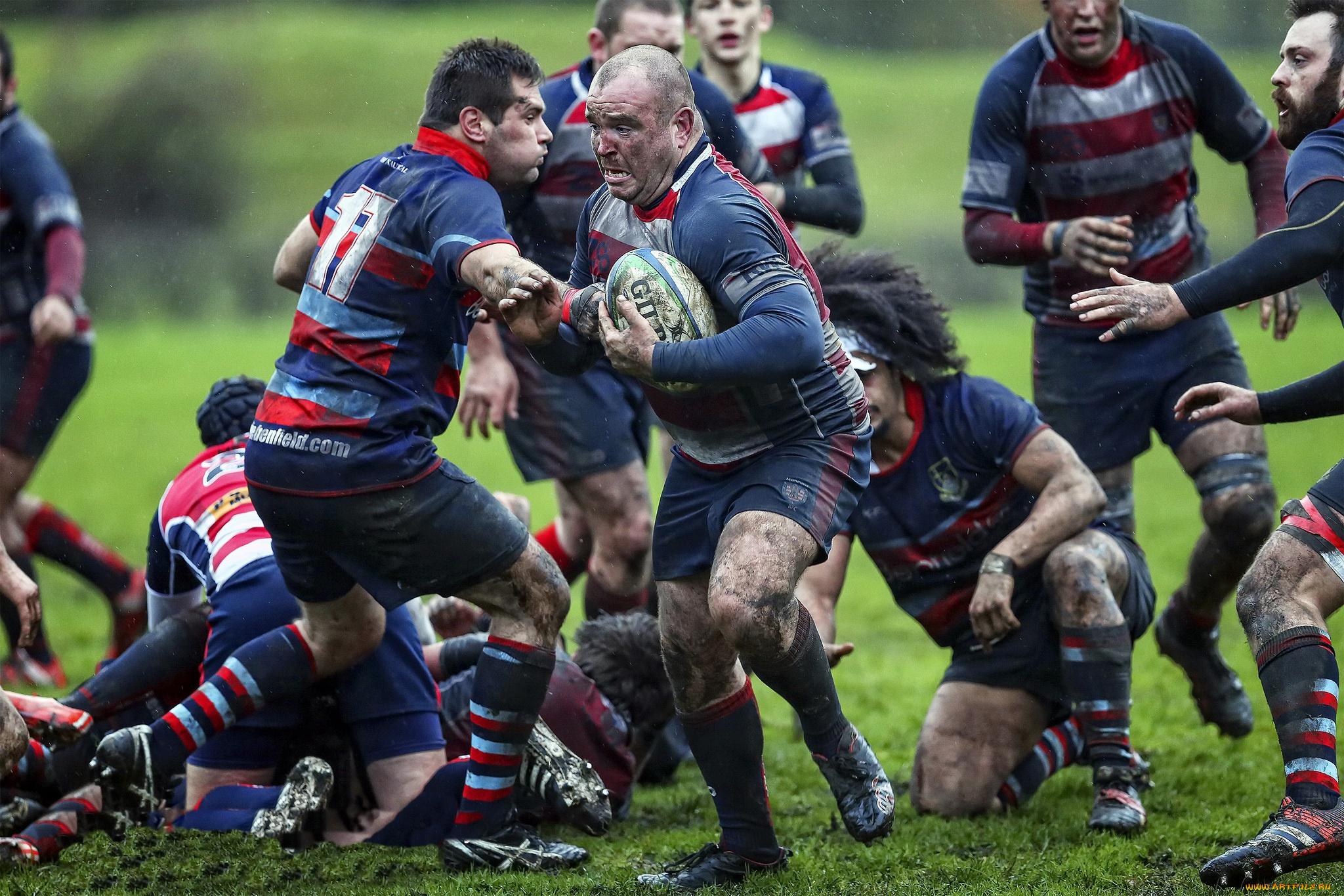 спорт, регби