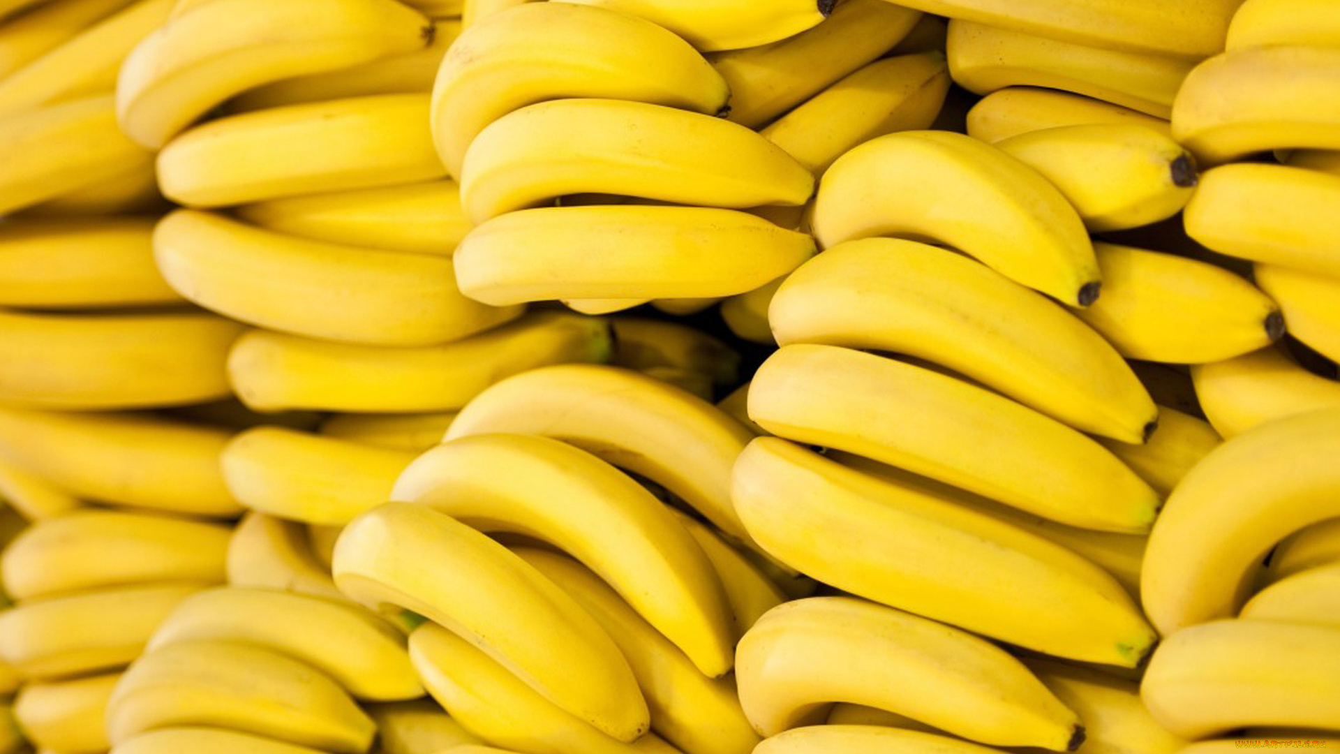 еда, бананы, желтые, много
