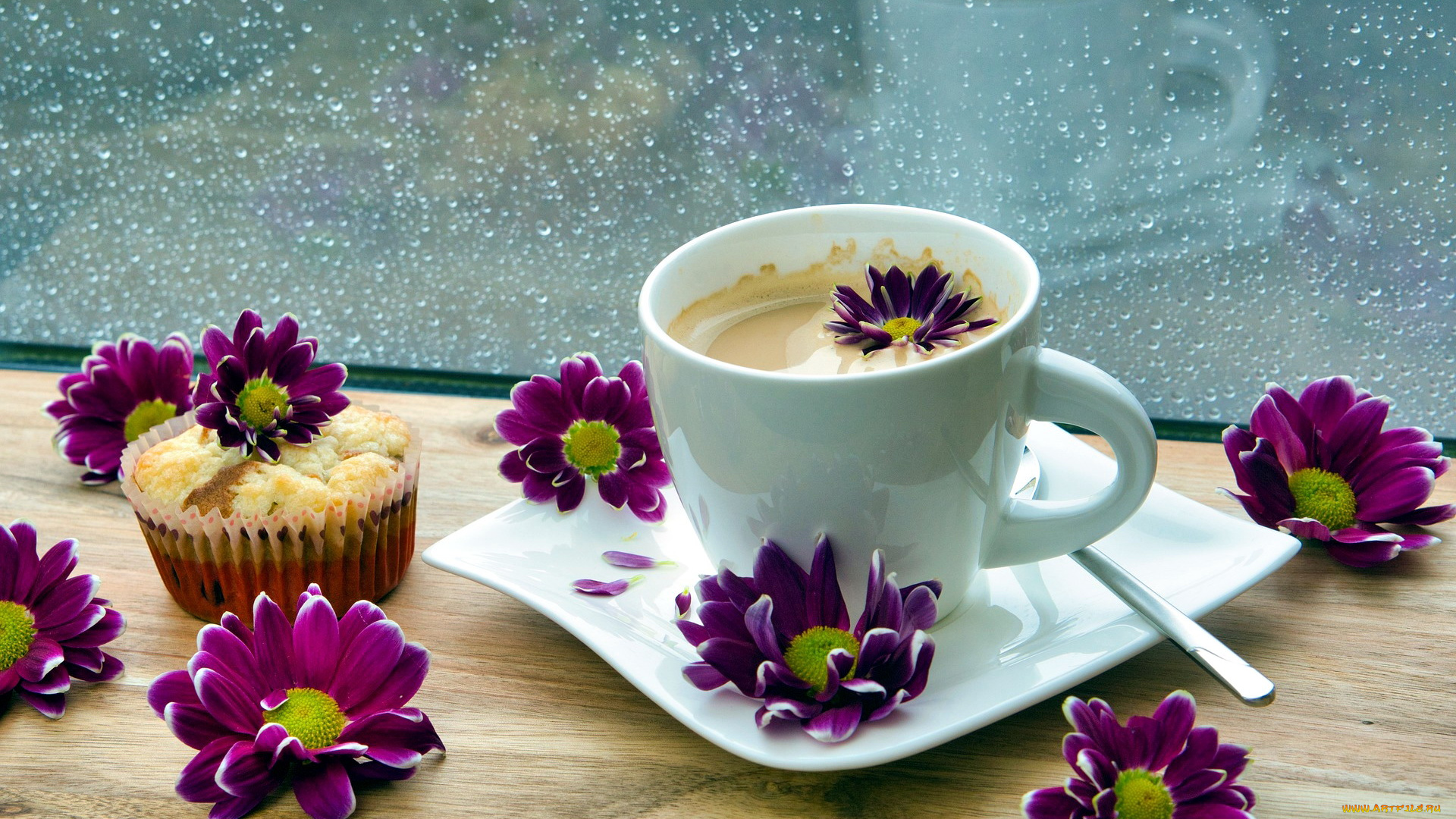 еда, кофе, , кофейные, зёрна, кекс, хризантемы