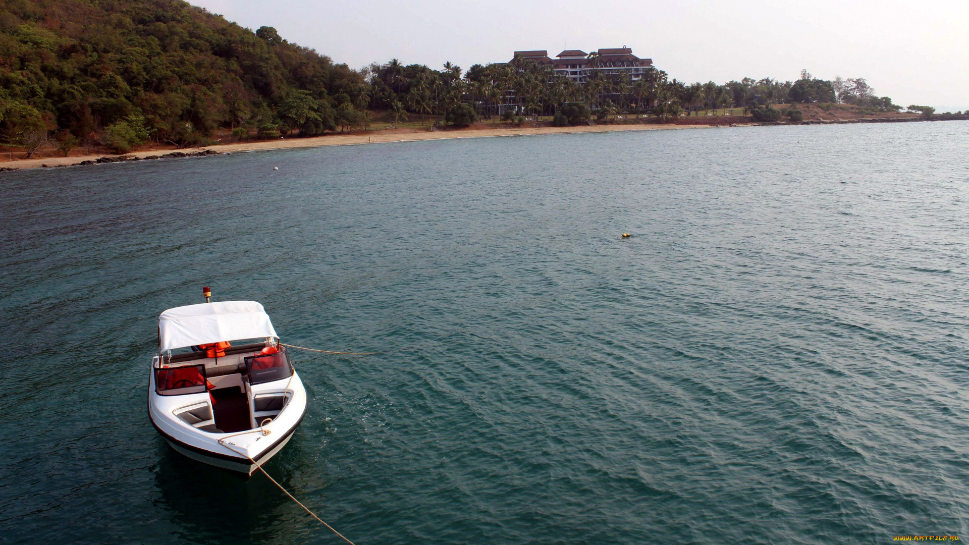 корабли, катера, река, катер, простор