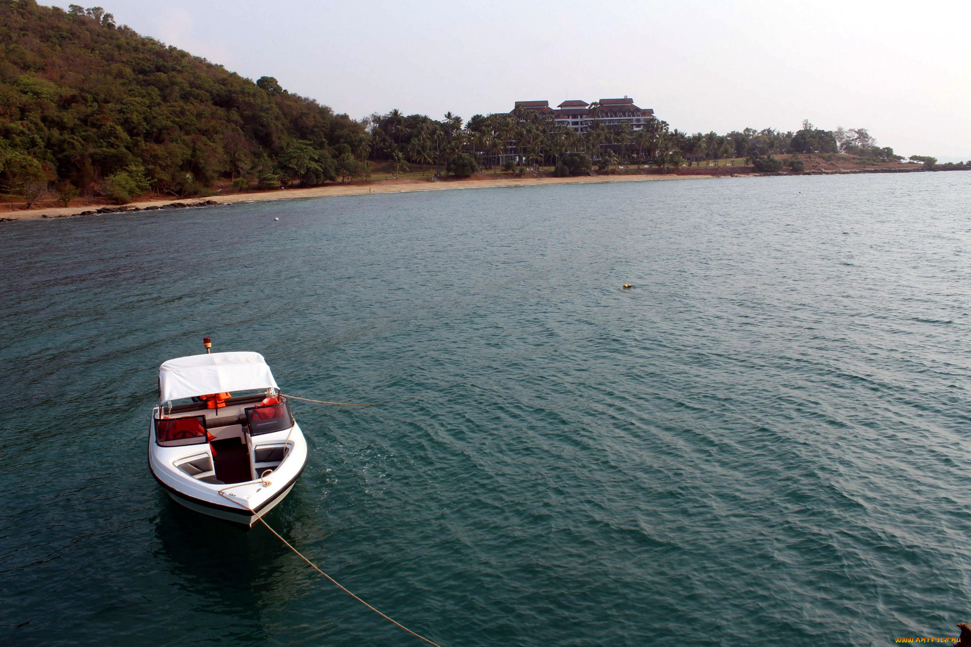 корабли, катера, река, катер, простор