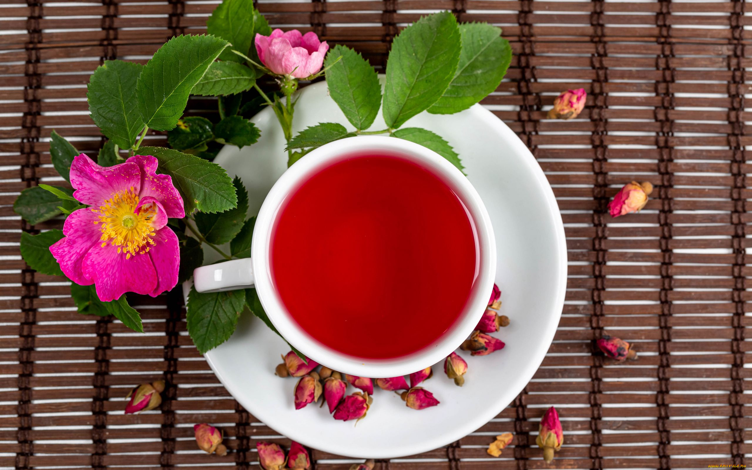 еда, напитки, шиповник, напиток