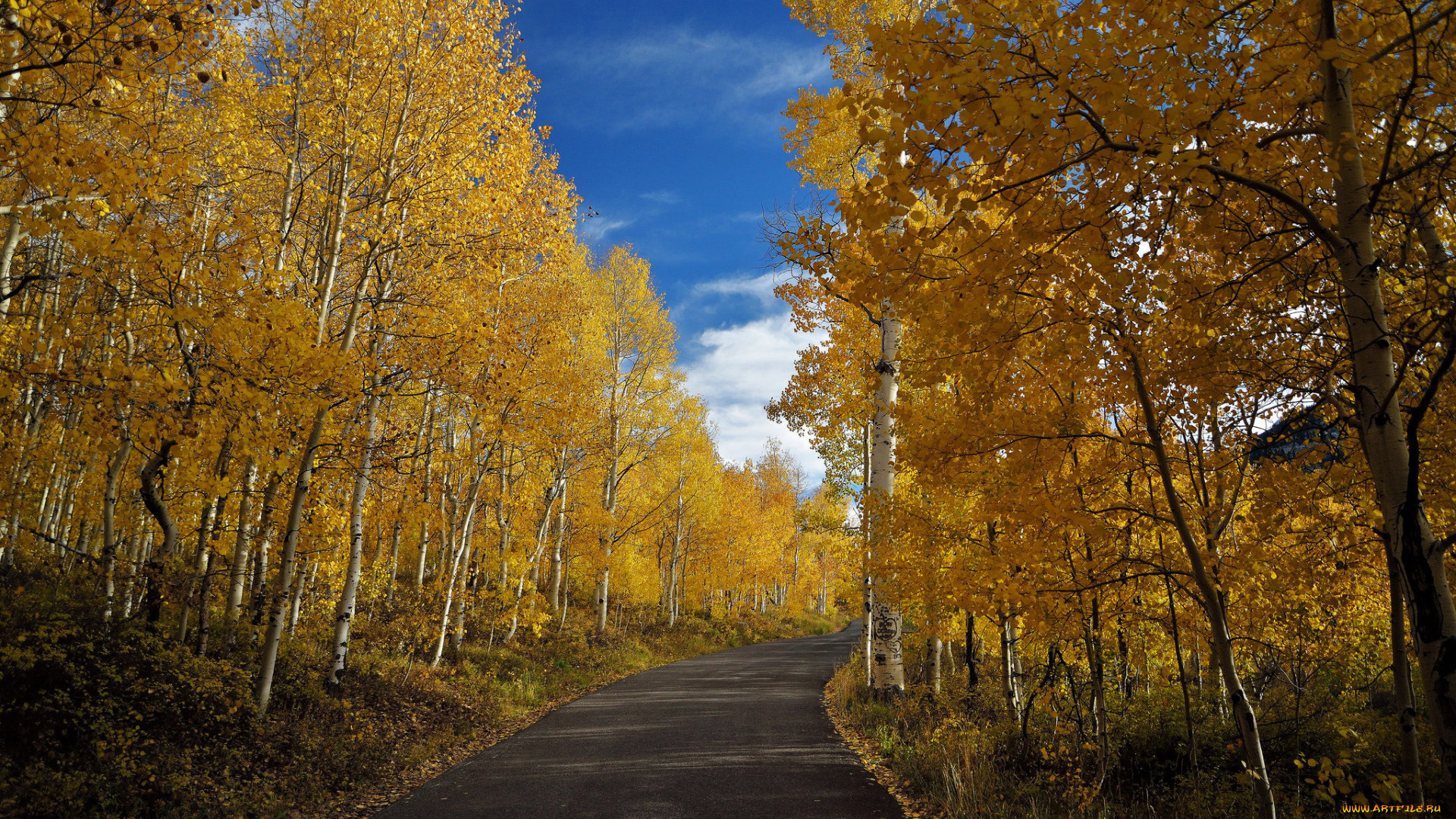 природа, дороги, осень, шоссе, листья