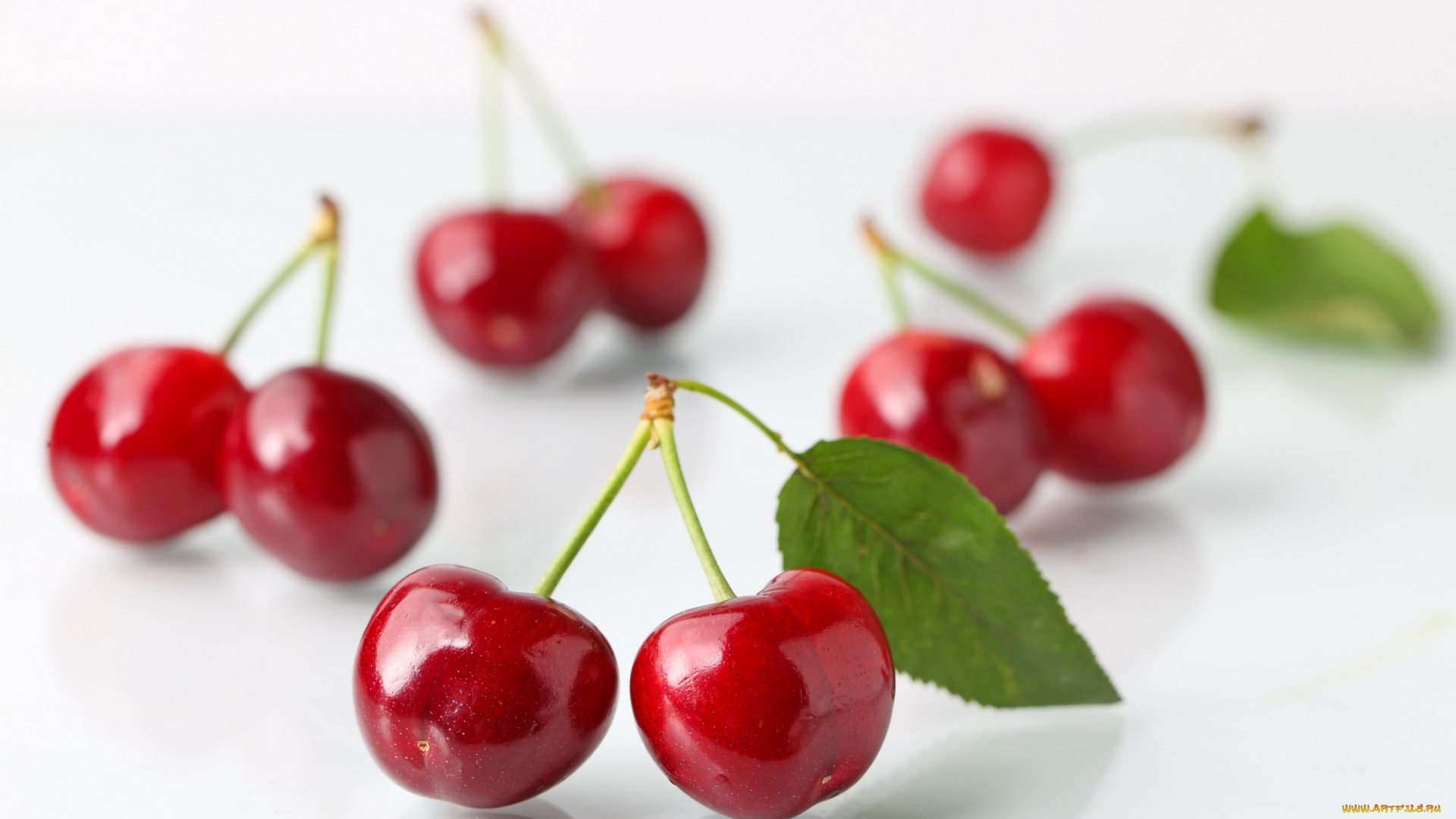 еда, вишня, , черешня, вишни