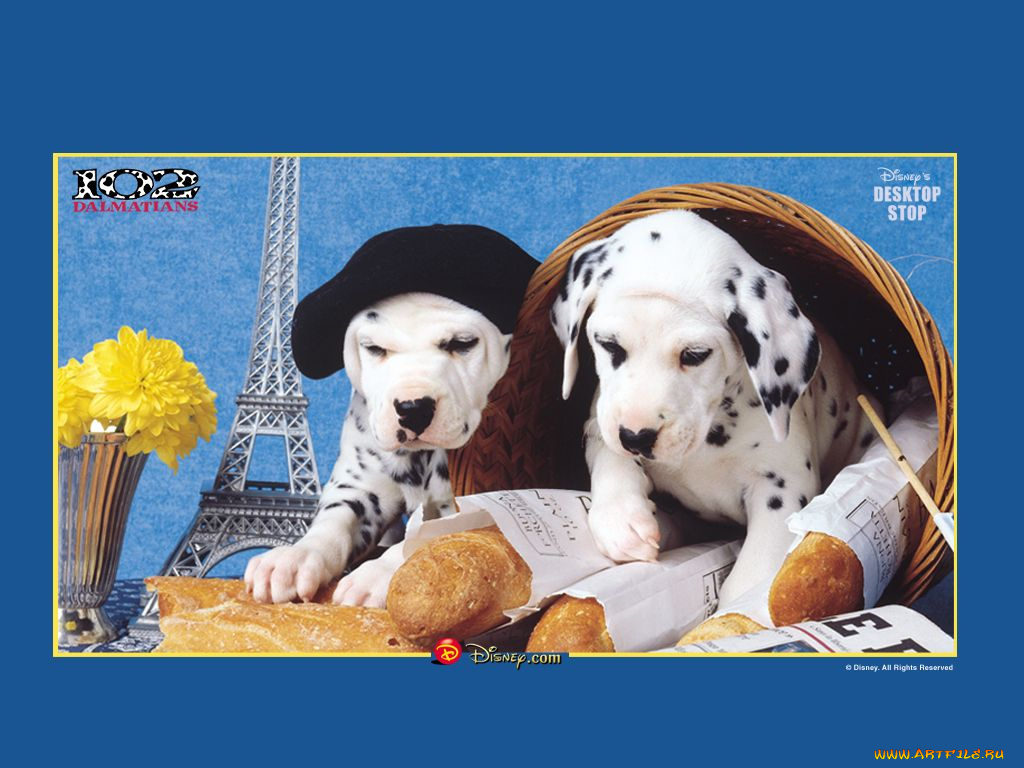 мультфильмы, 102, dalmatians