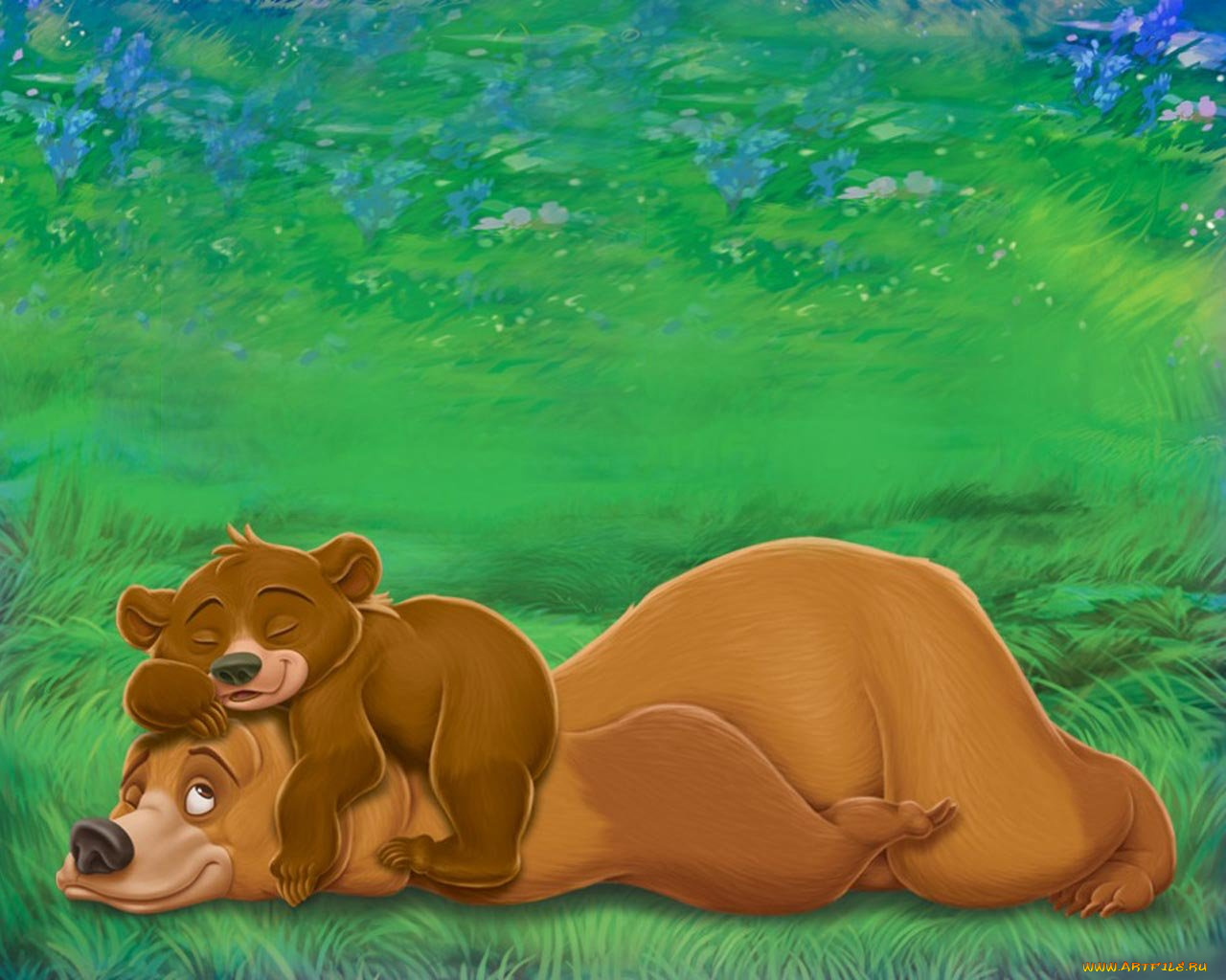 мультфильмы, brother, bear