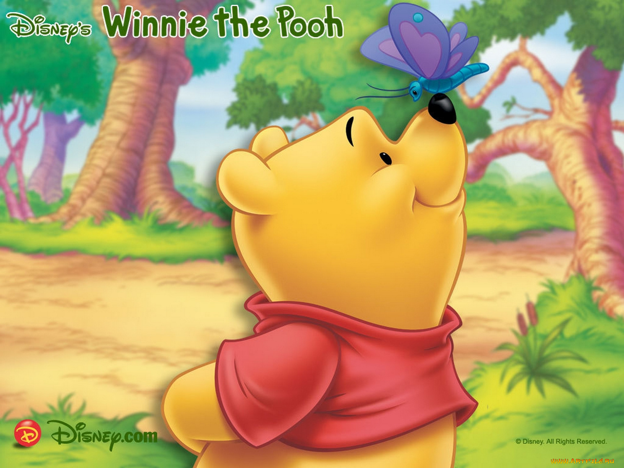 мультфильмы, winnie, the, pooh
