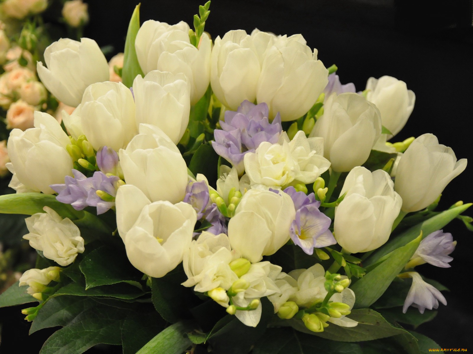 цветы, букеты, композиции