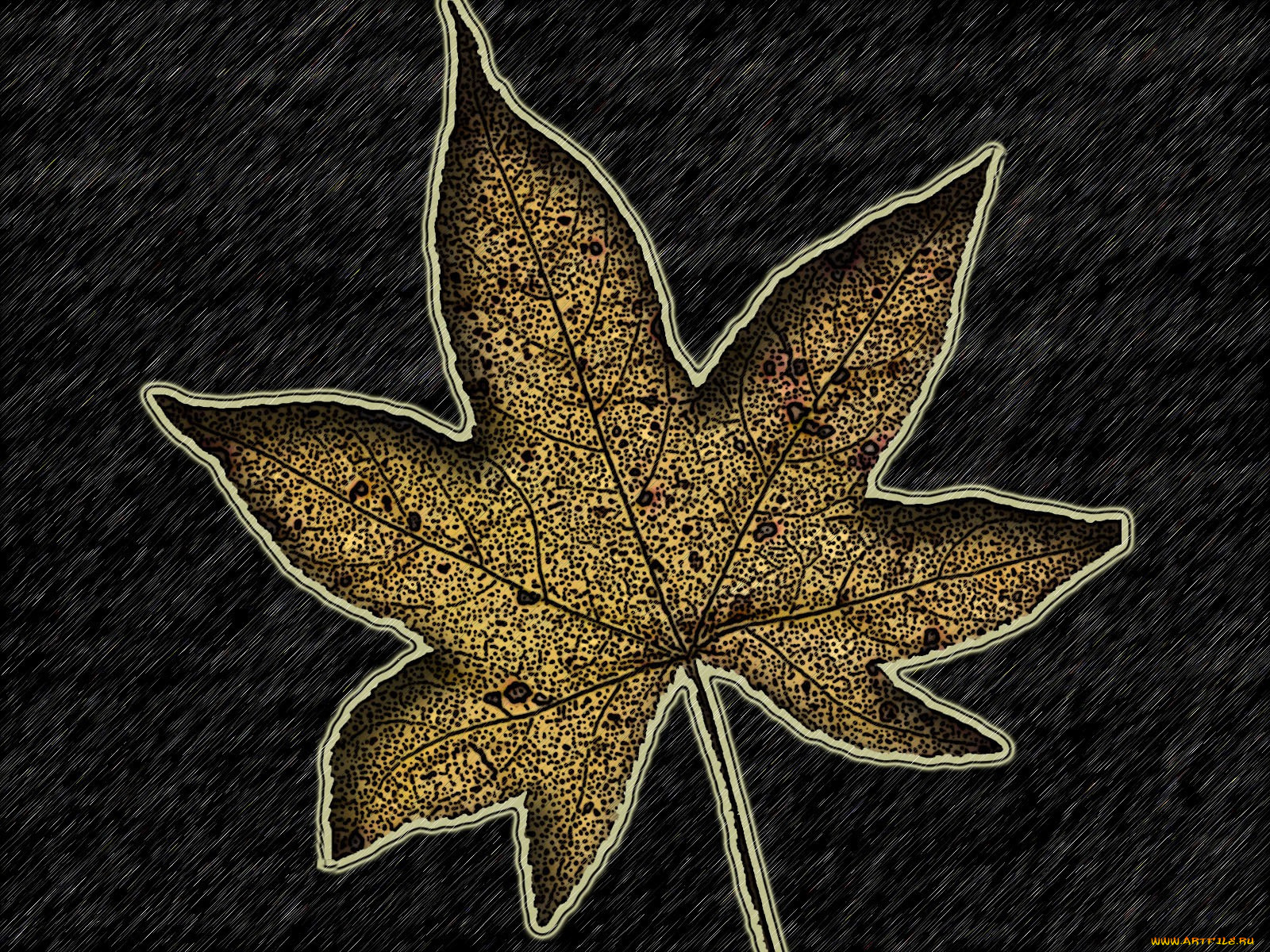 3д, графика, textures, текстуры, лист, текстура