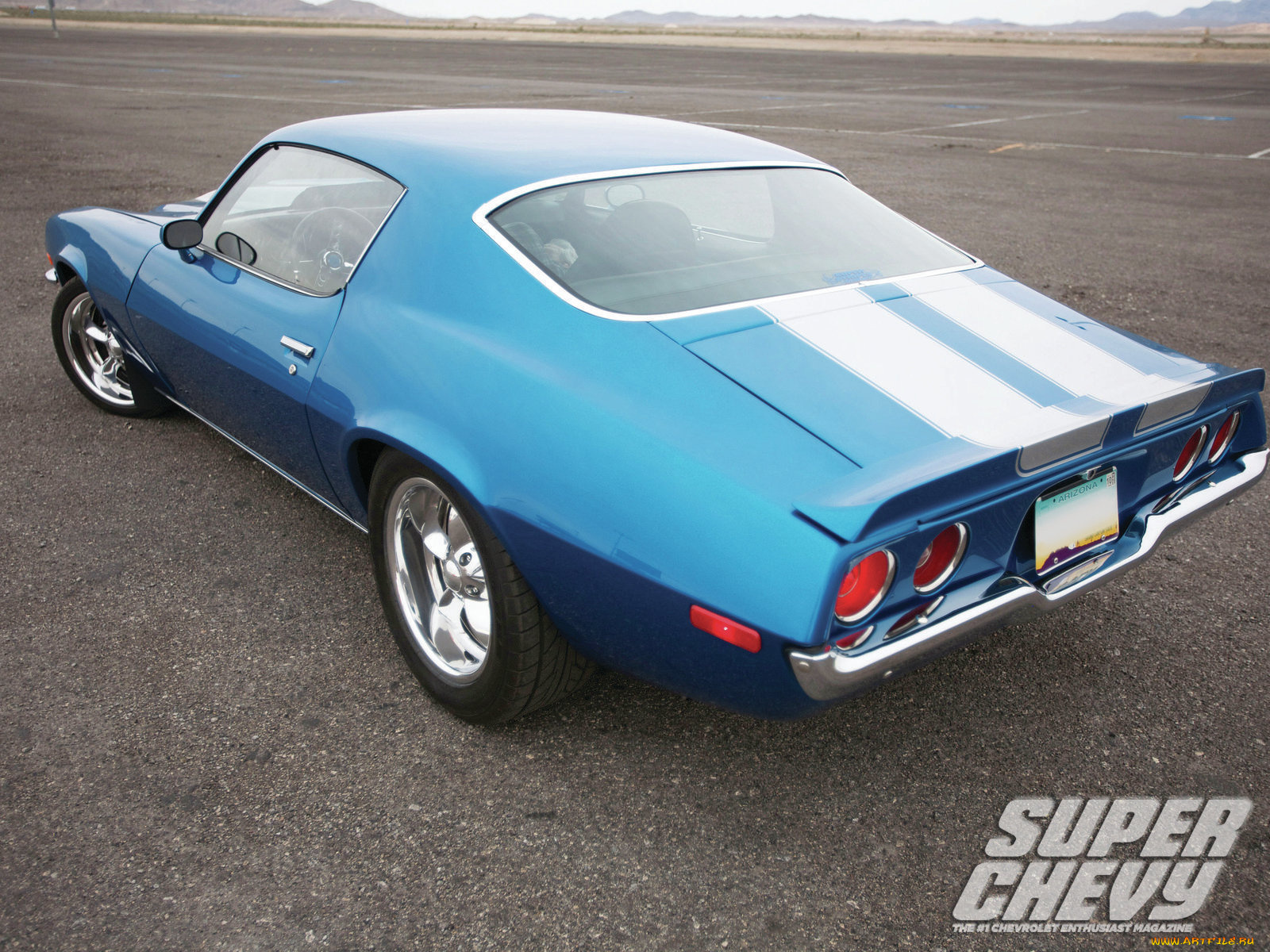 автомобили, camaro, birds