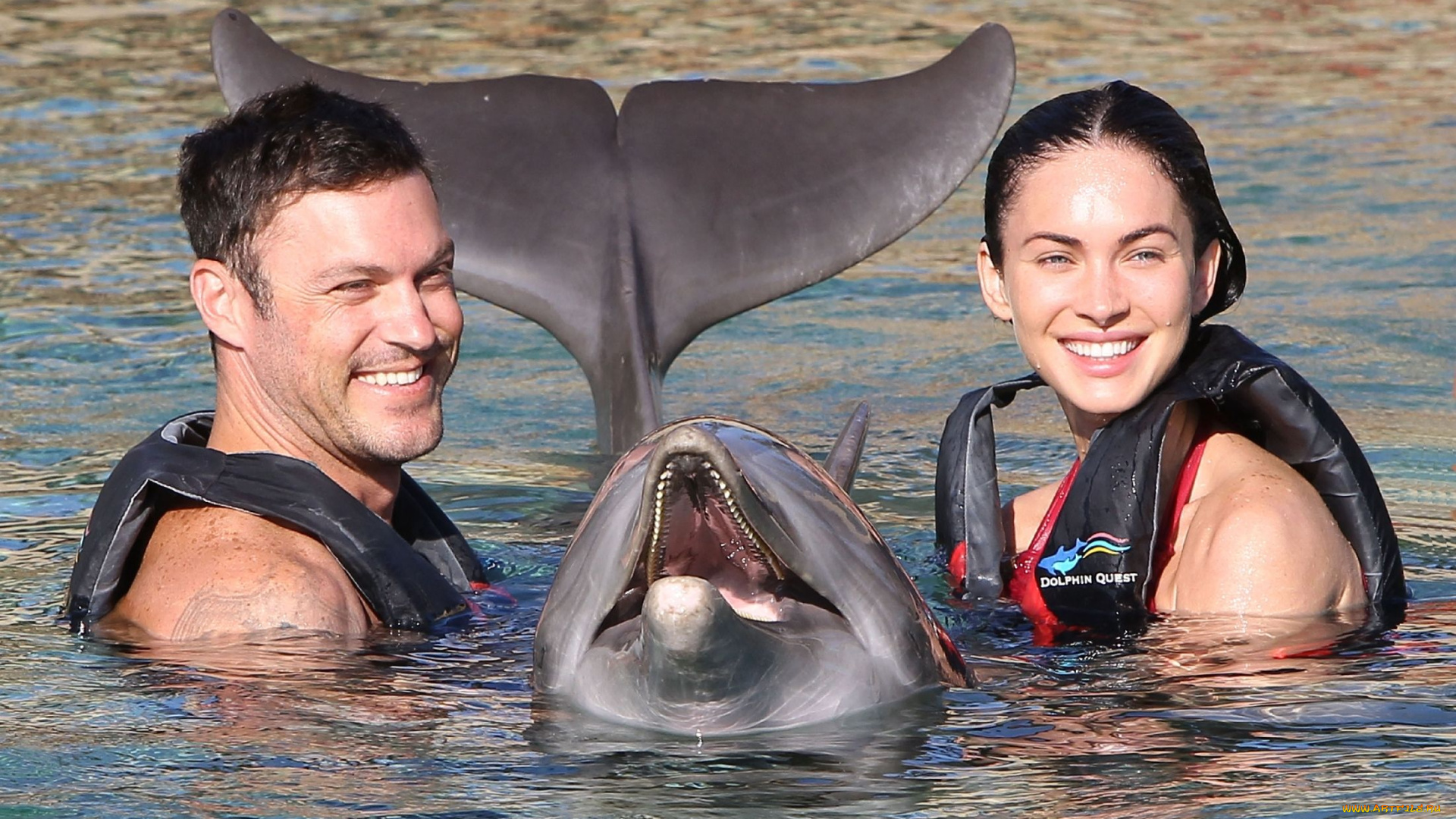 megan, fox, and, brian, austin, green, разное, знаменитости, дельфин