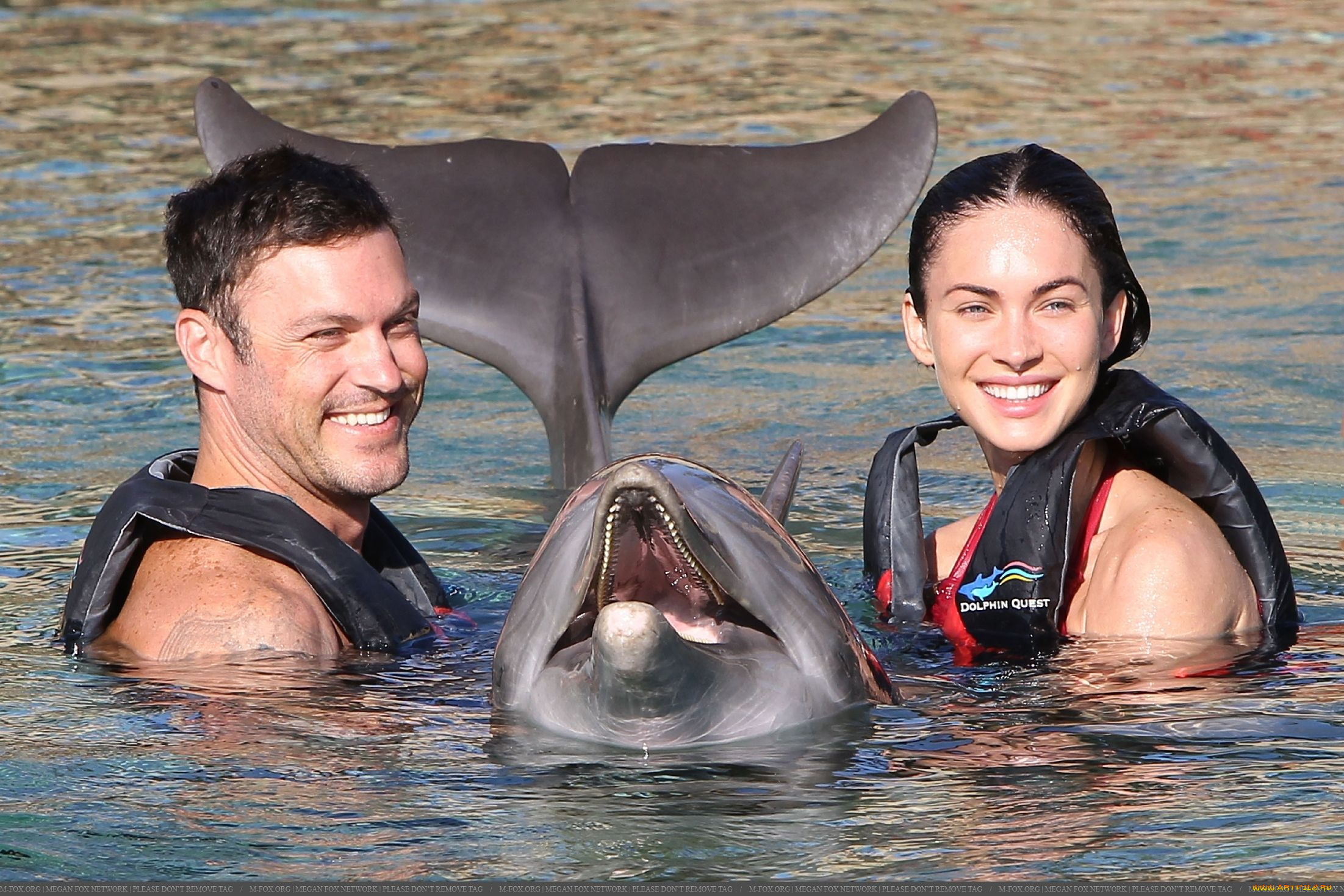 megan, fox, and, brian, austin, green, разное, знаменитости, дельфин