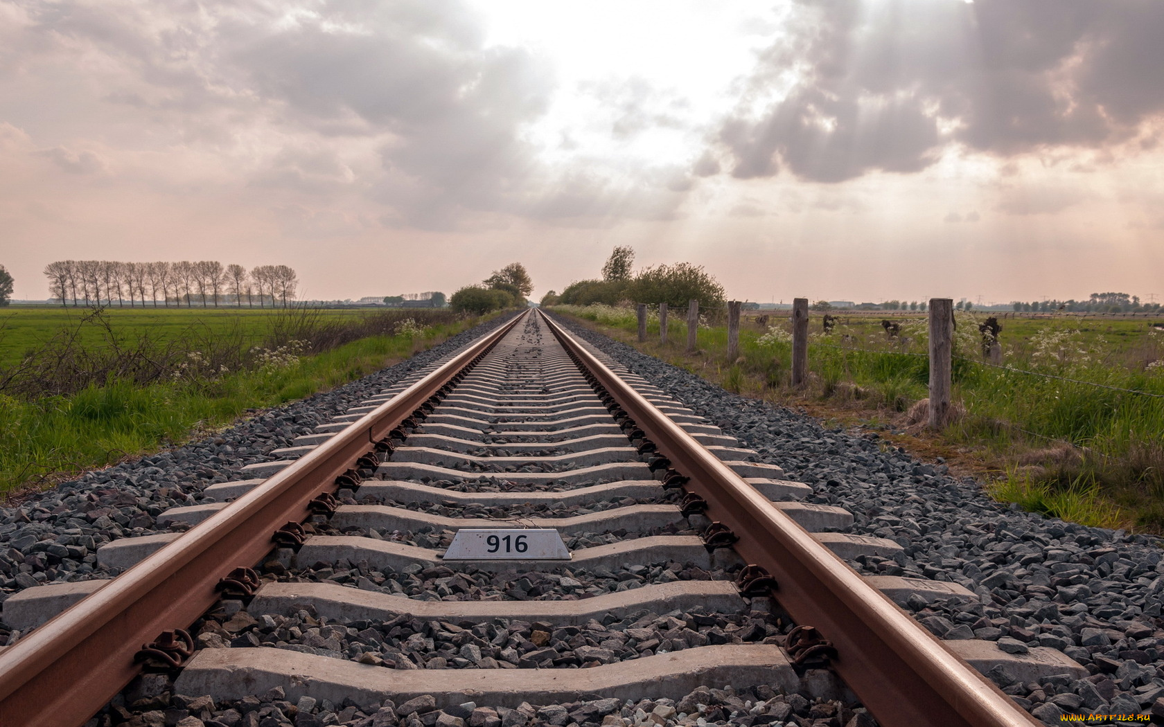 разное, транспортные, средства, магистрали, дорога, пейзаж, поле