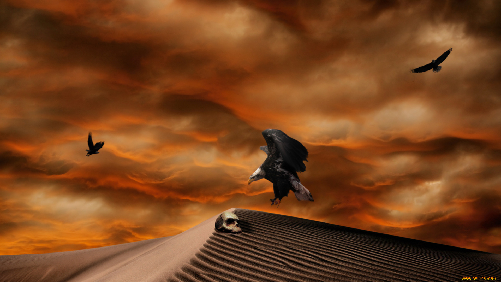 3д, графика, horror, ужас, тучи, песок, орлы, череп