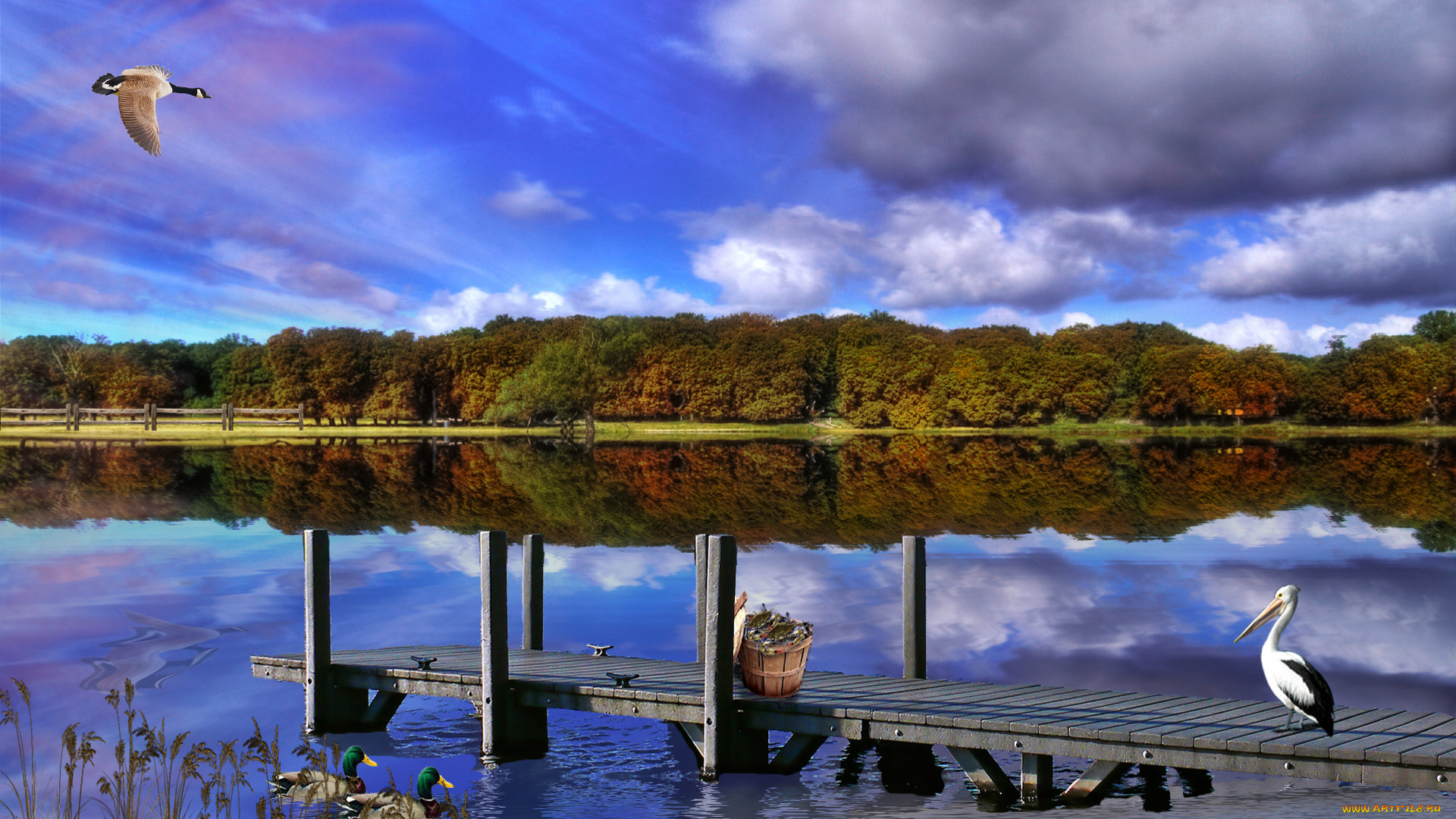 crabbing, the, james, 3д, графика, nature, landscape, природа, мостик, река, чайка, пеликан