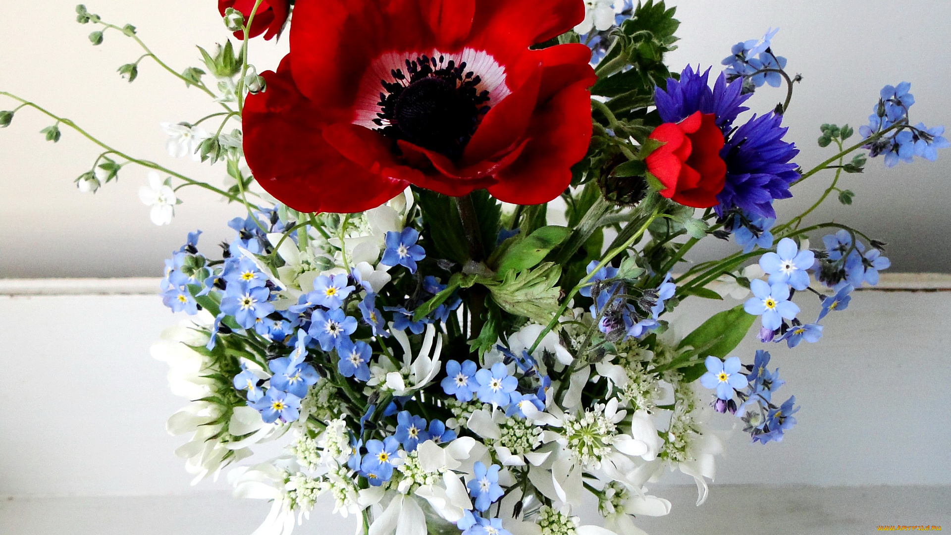 цветы, букеты, композиции, маки, ваза, букет