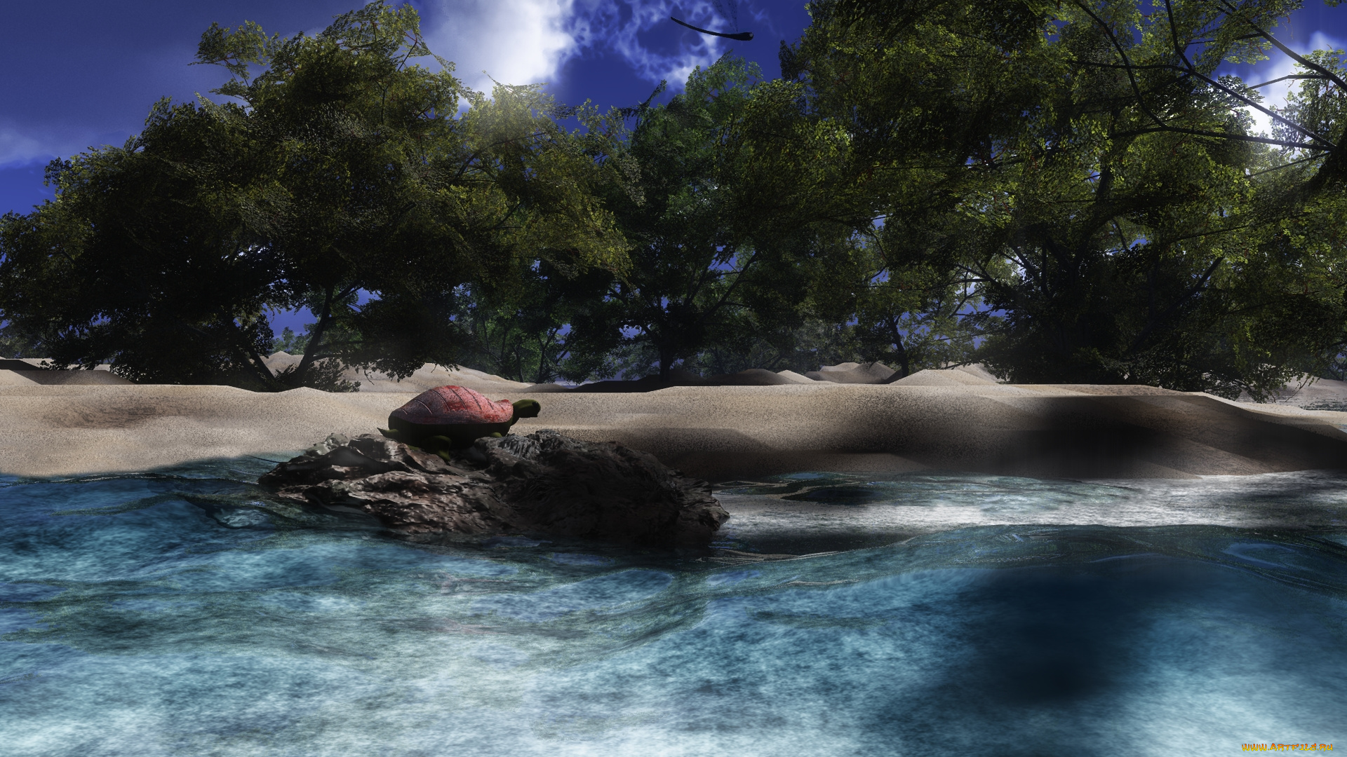 feel, the, sunshine, 3д, графика, nature, landscape, природа, черепаха, дюны, деревья, берег