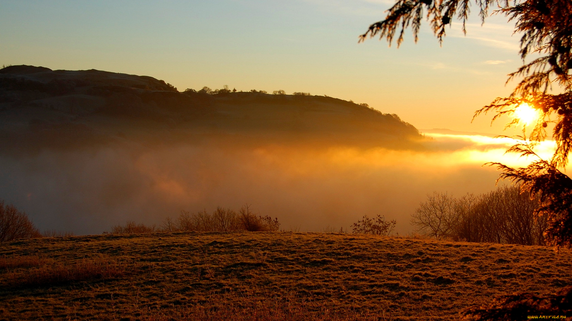 foggy, sunrise, природа, восходы, закаты