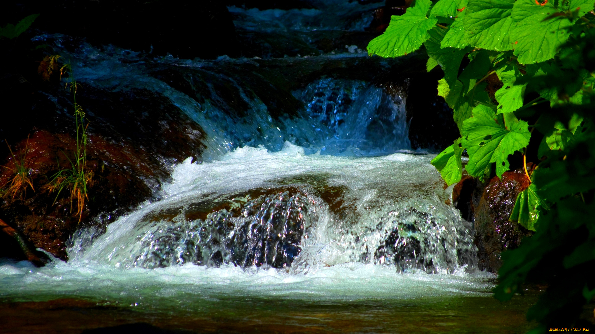 hidden, waterfalls, природа, водопады, ветки, водопад, река