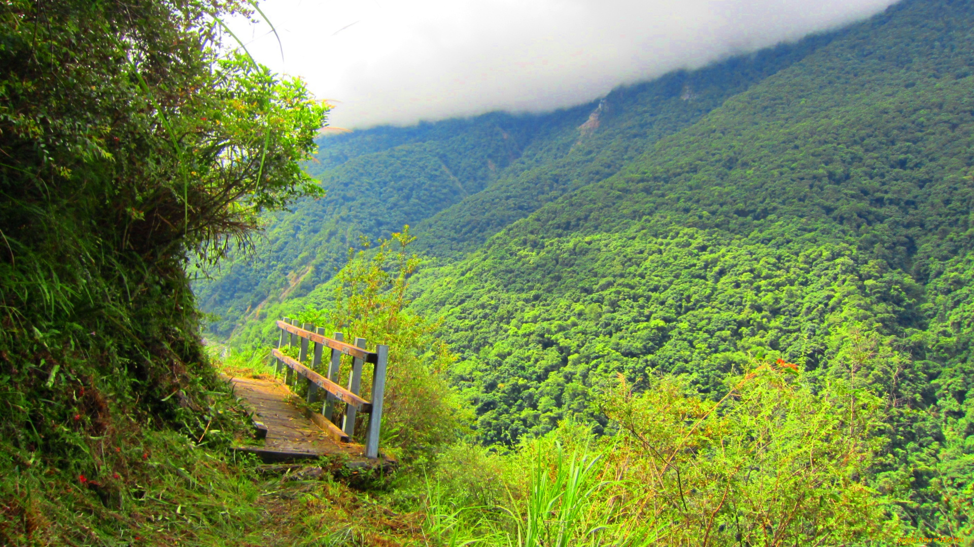 mountain, climbing, природа, дороги, мостик, тропа, леса, горы