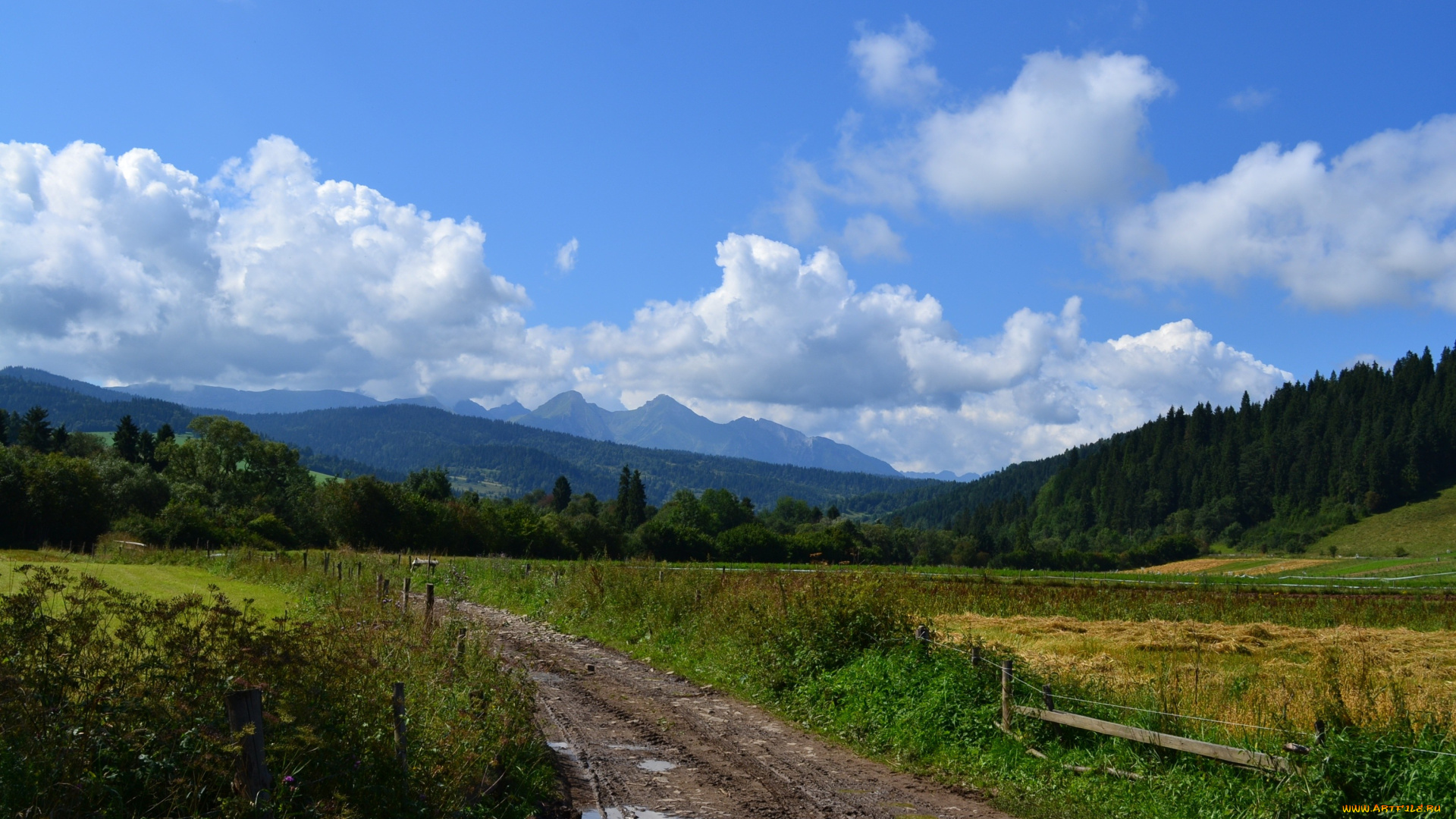 природа, дороги, дорога, трава, пейзаж, погле